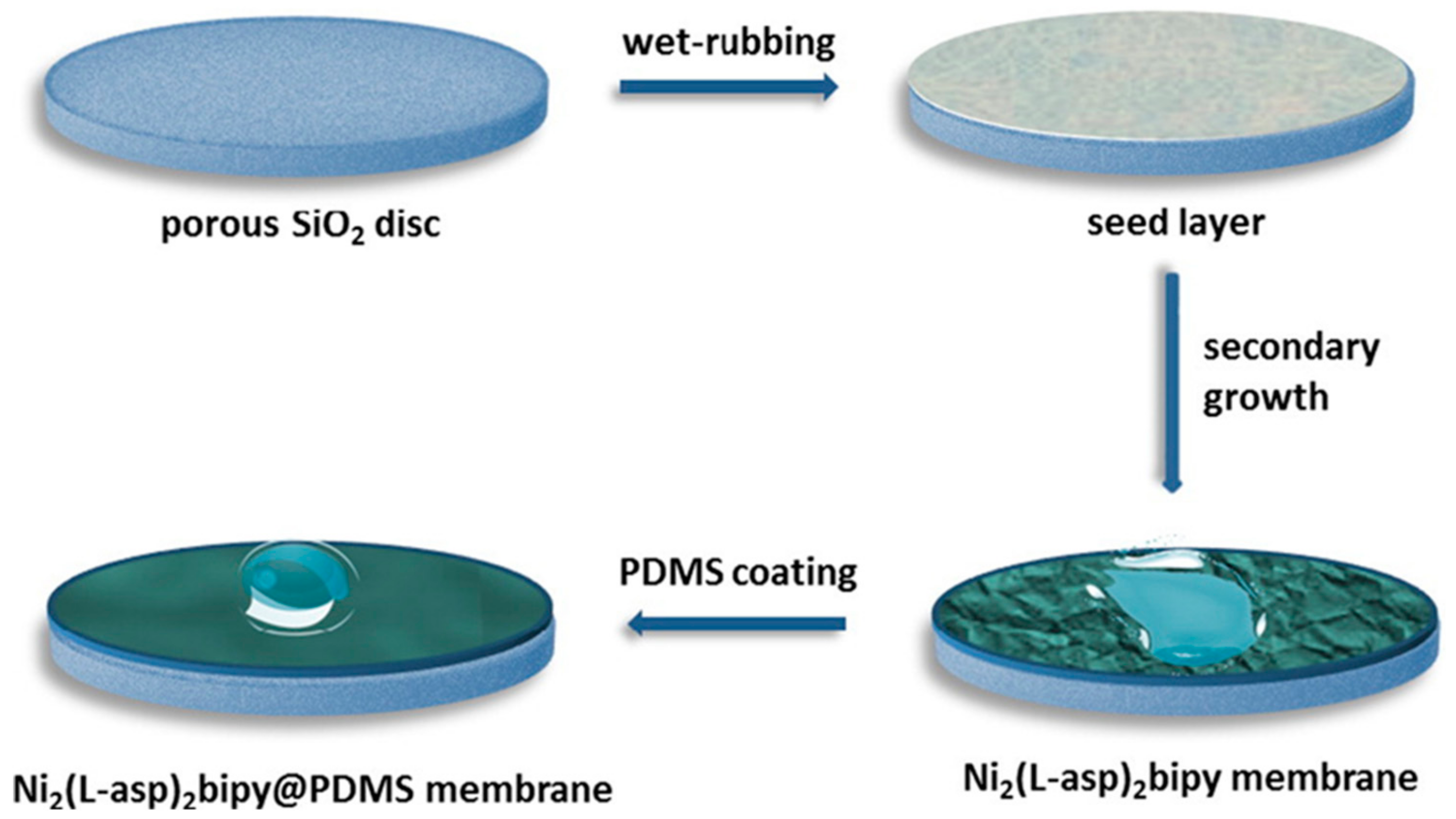 Polymers 12 01466 g013