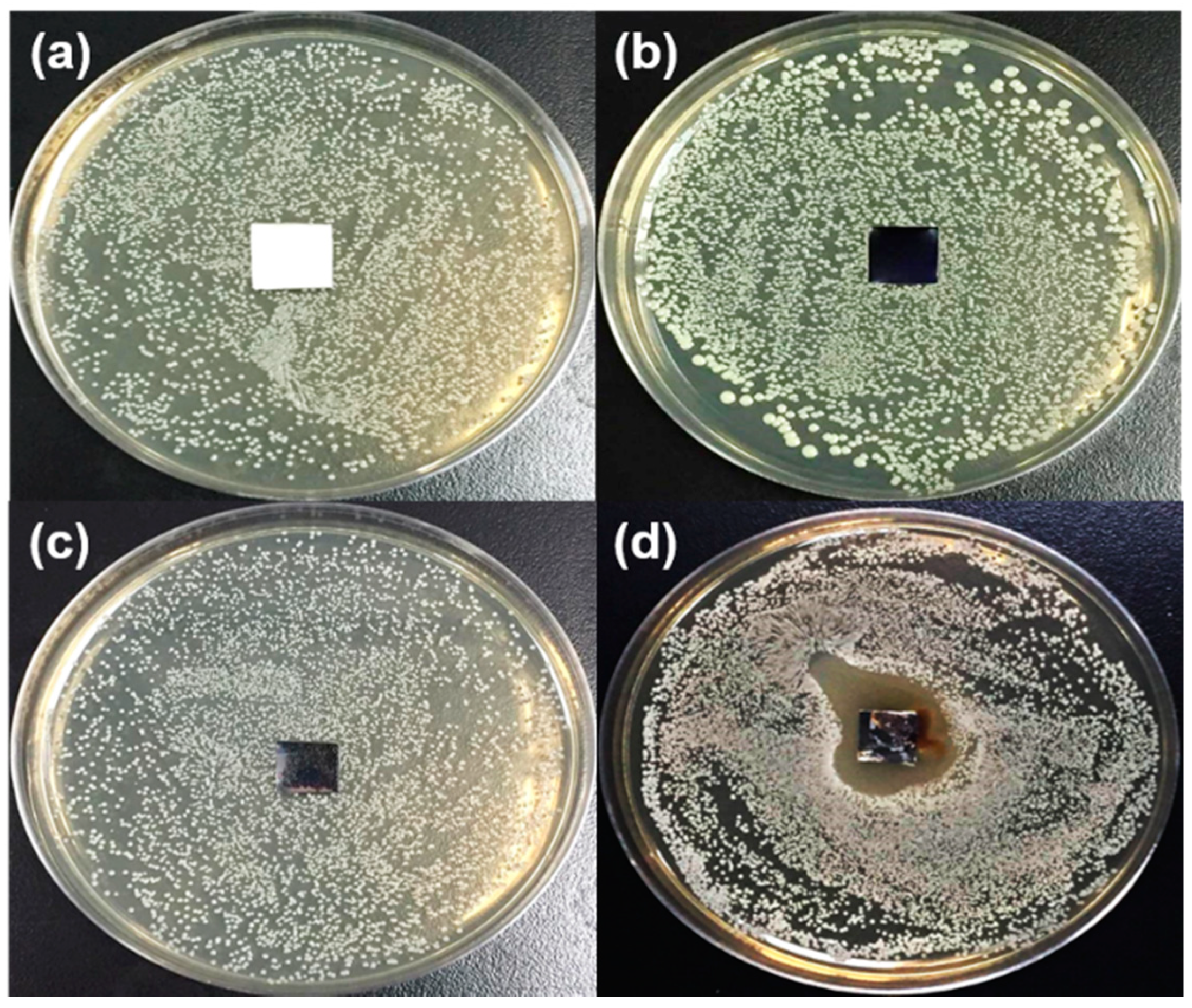 Polymers 12 01467 g009 Polymers 12 01467 g009