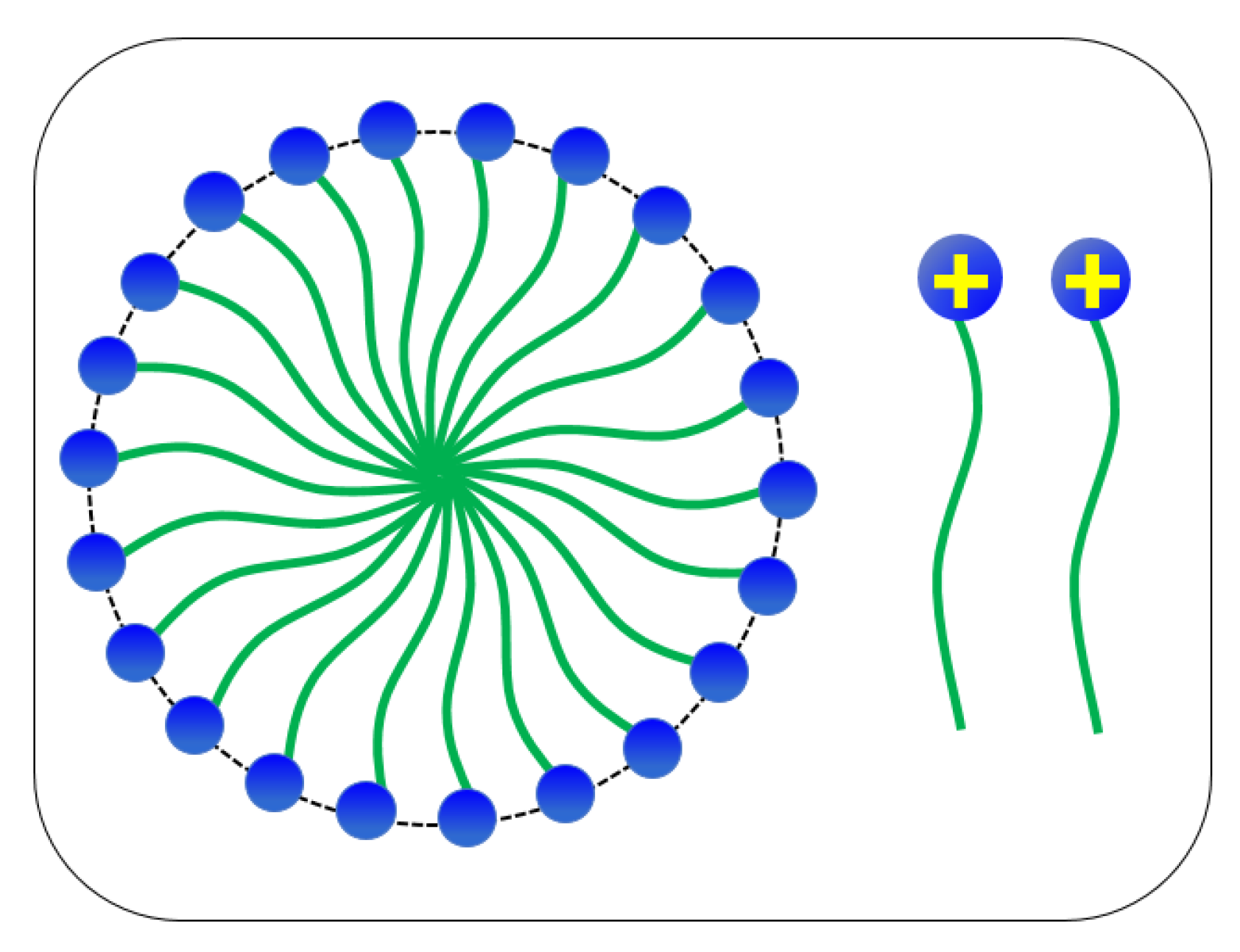 Polymers 12 01470 g001