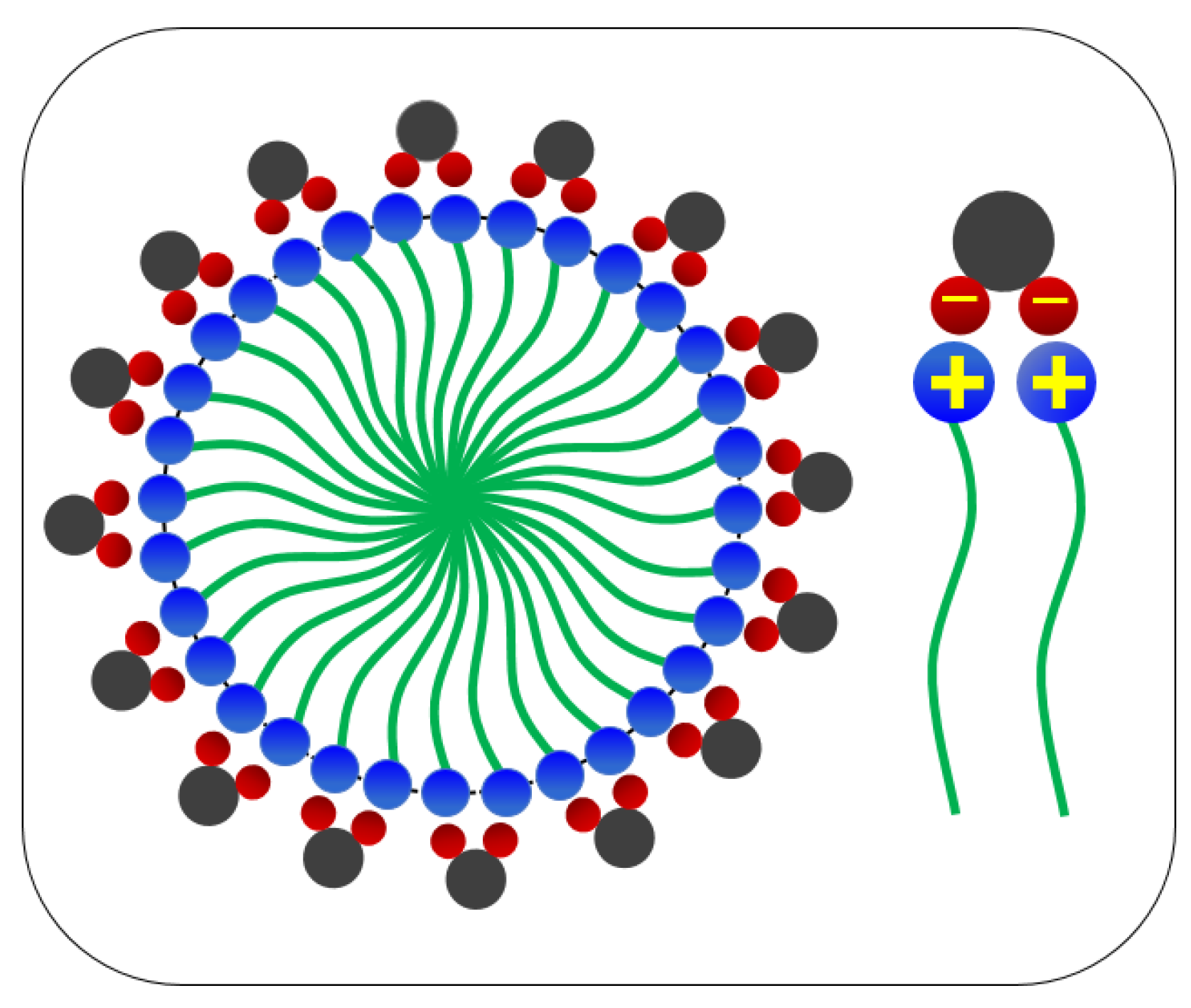 Polymers 12 01470 g002