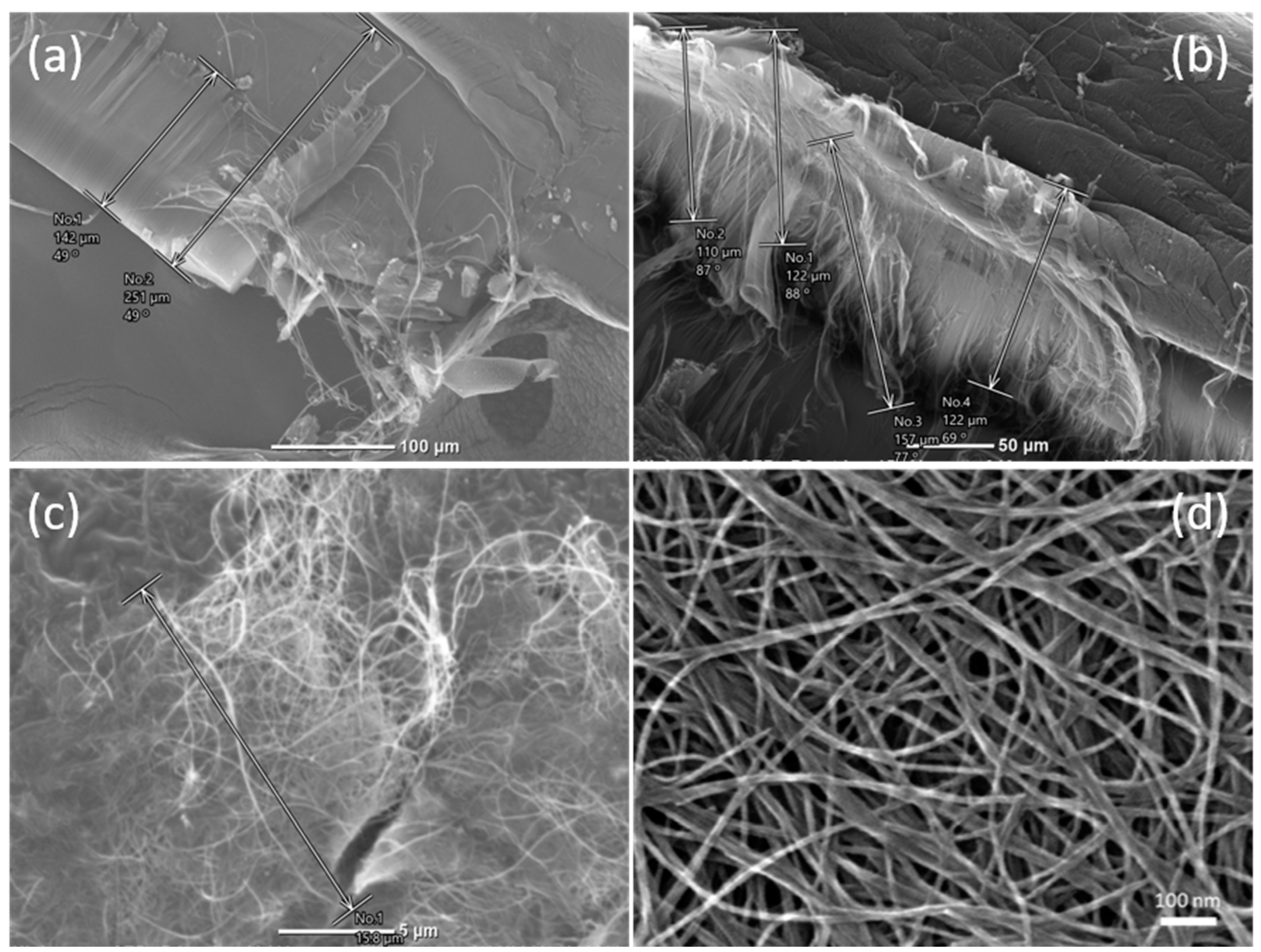 Polymers 12 01471 g002