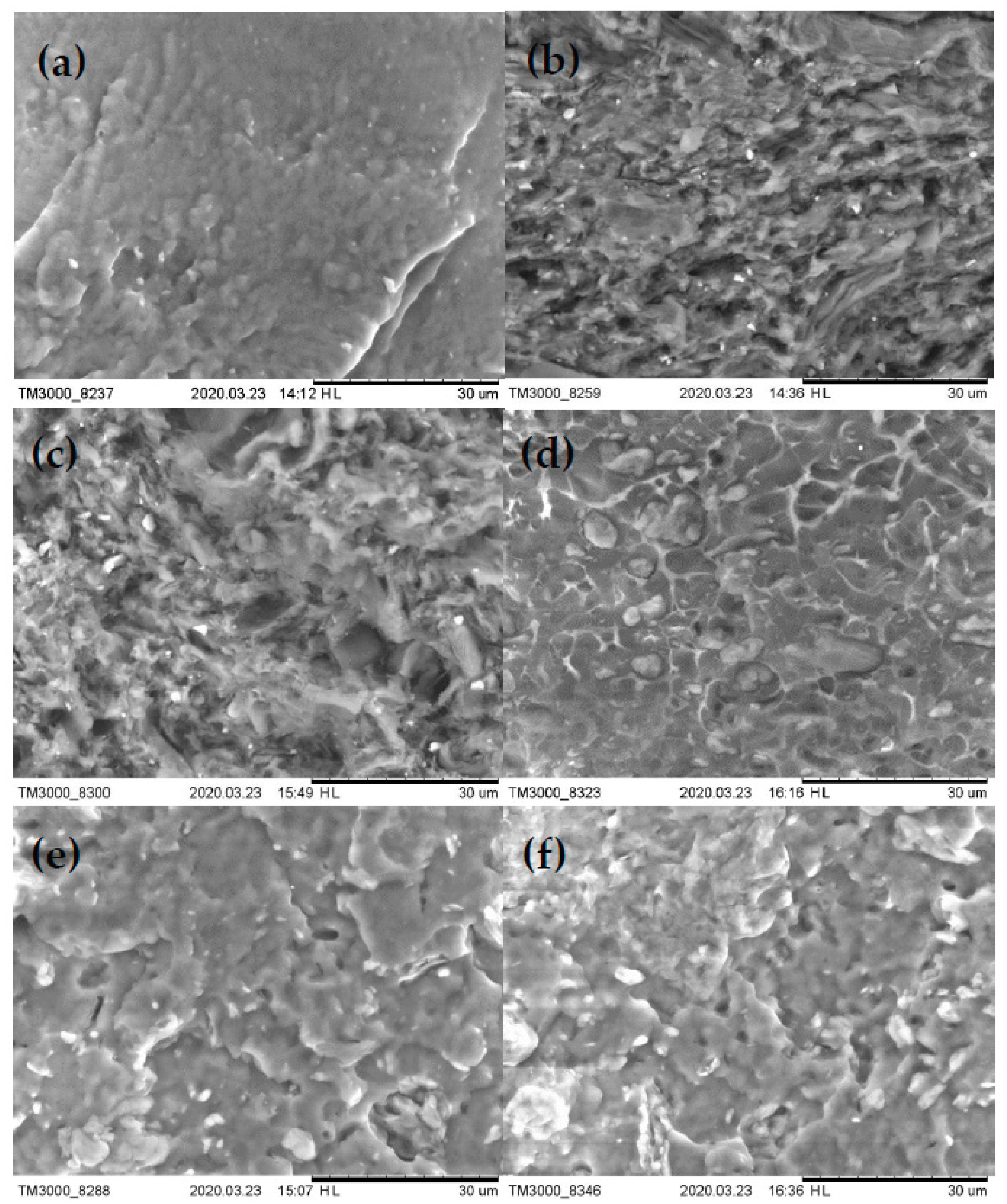 Polymers 12 01472 g006
