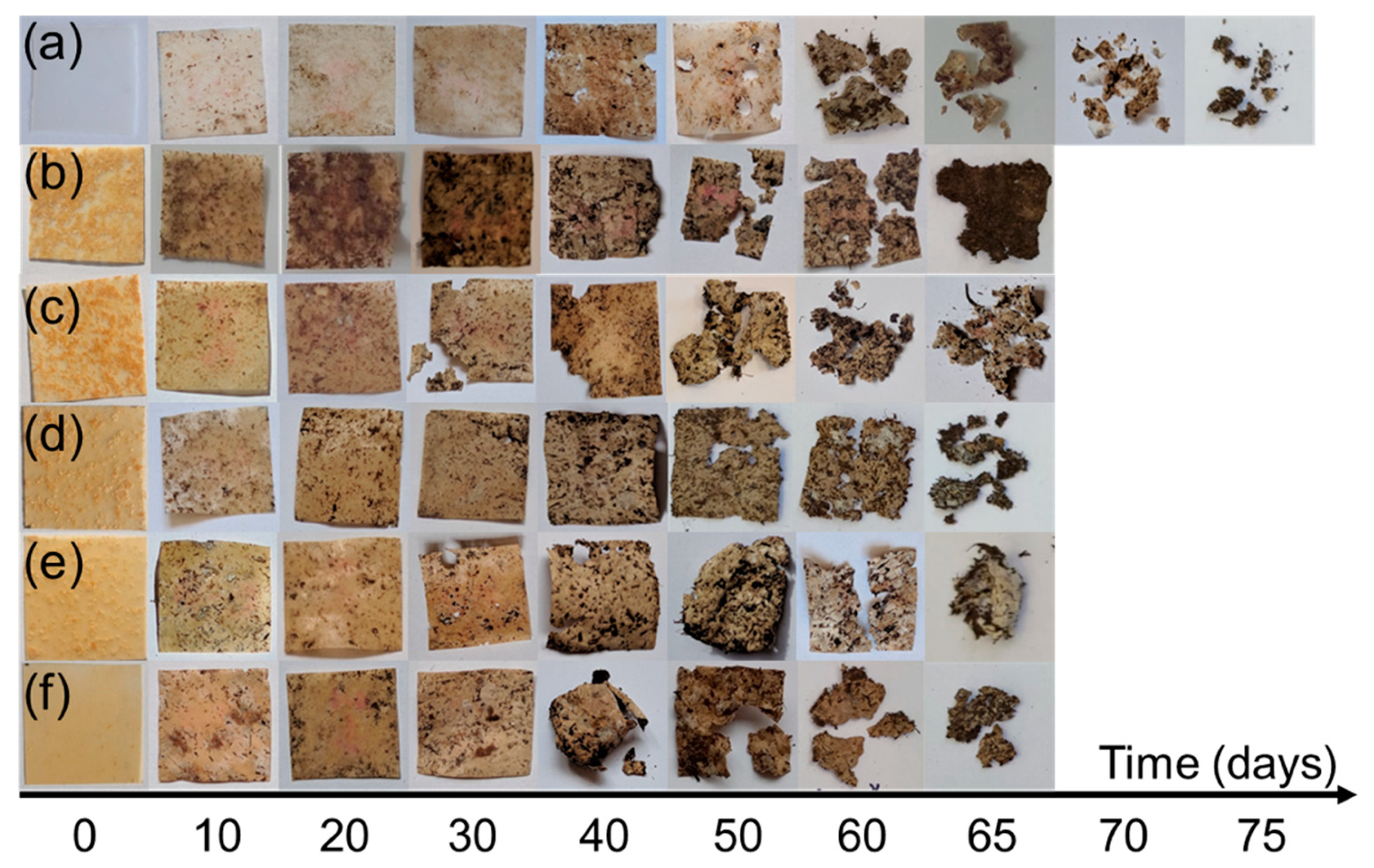 Polymers 12 01472 g008