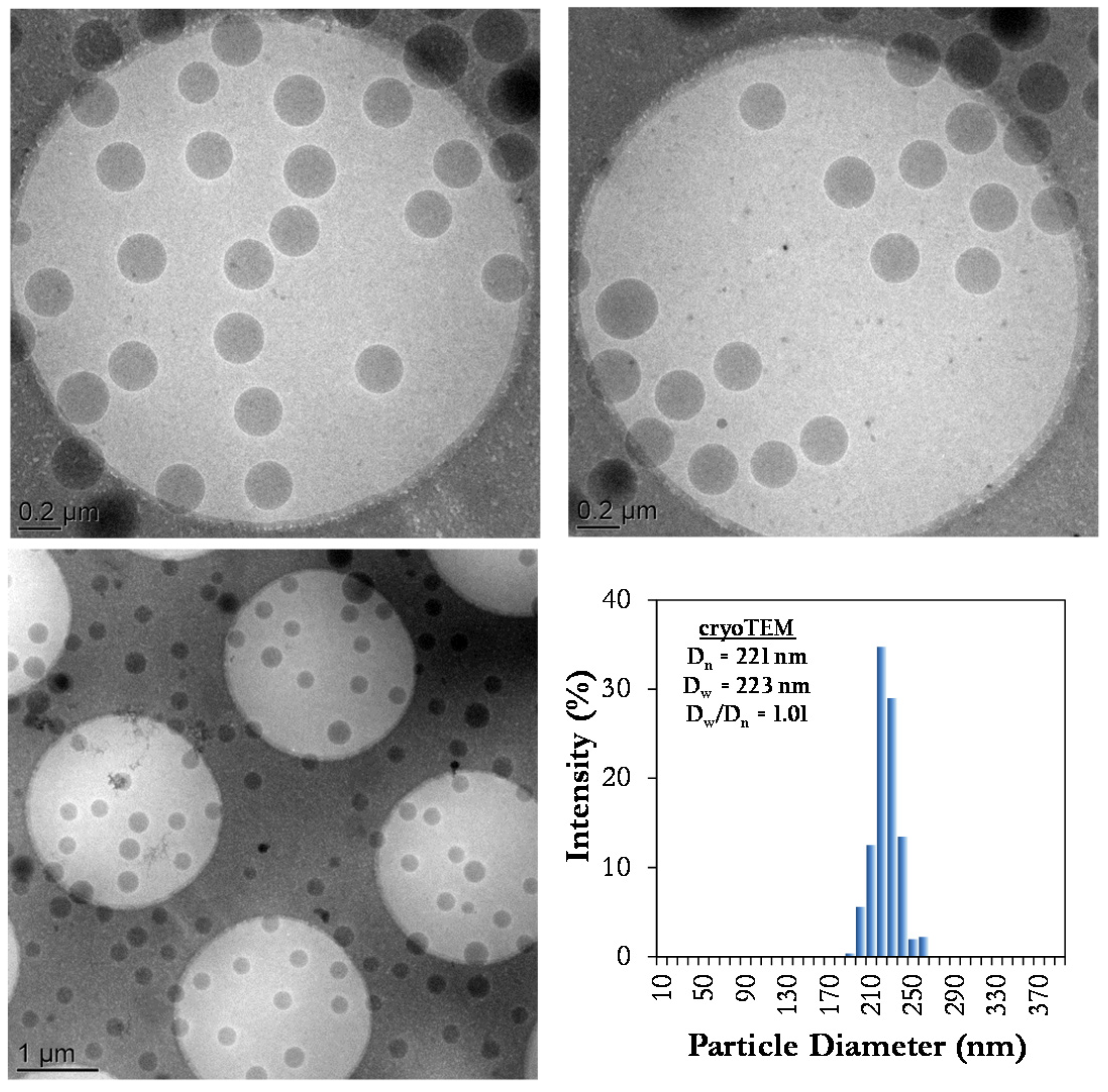 Polymers 12 01476 g004 Polymers 12 01476 g004