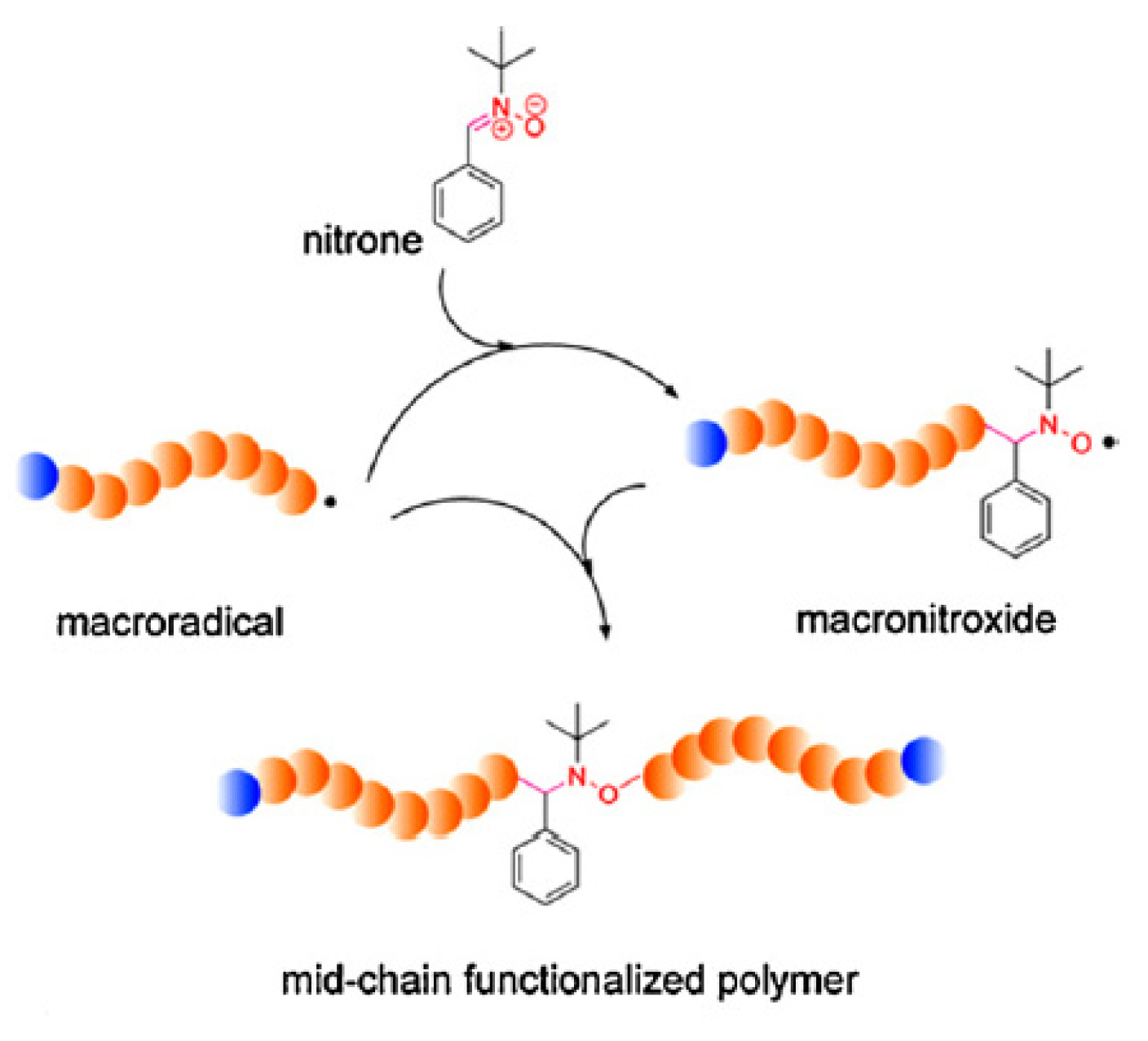 Polymers 12 01481 g003
