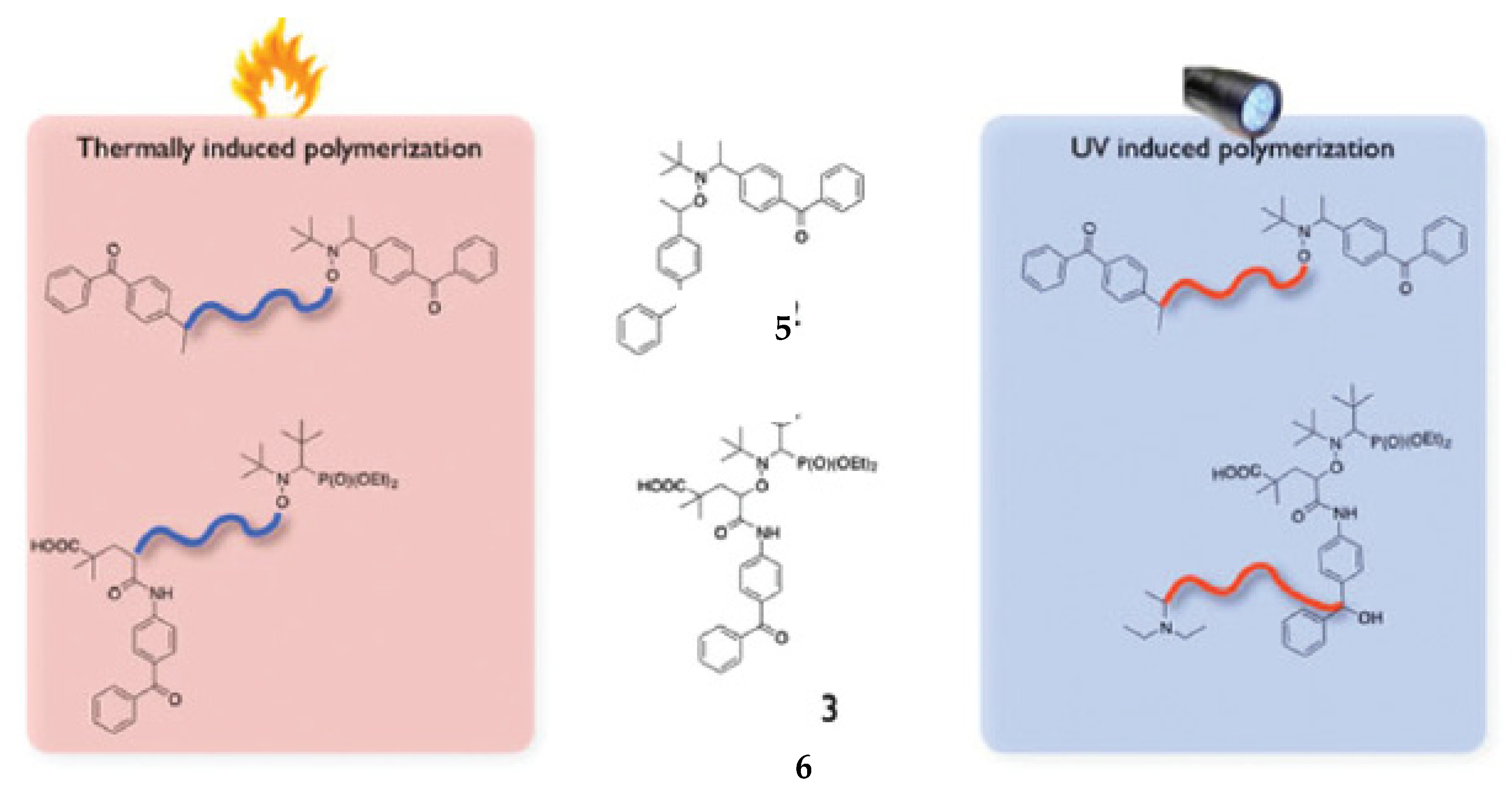 Polymers 12 01481 g006