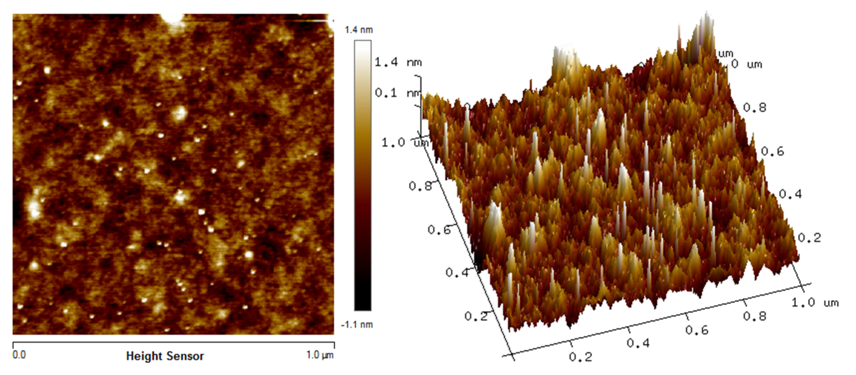 Polymers 12 01497 g003