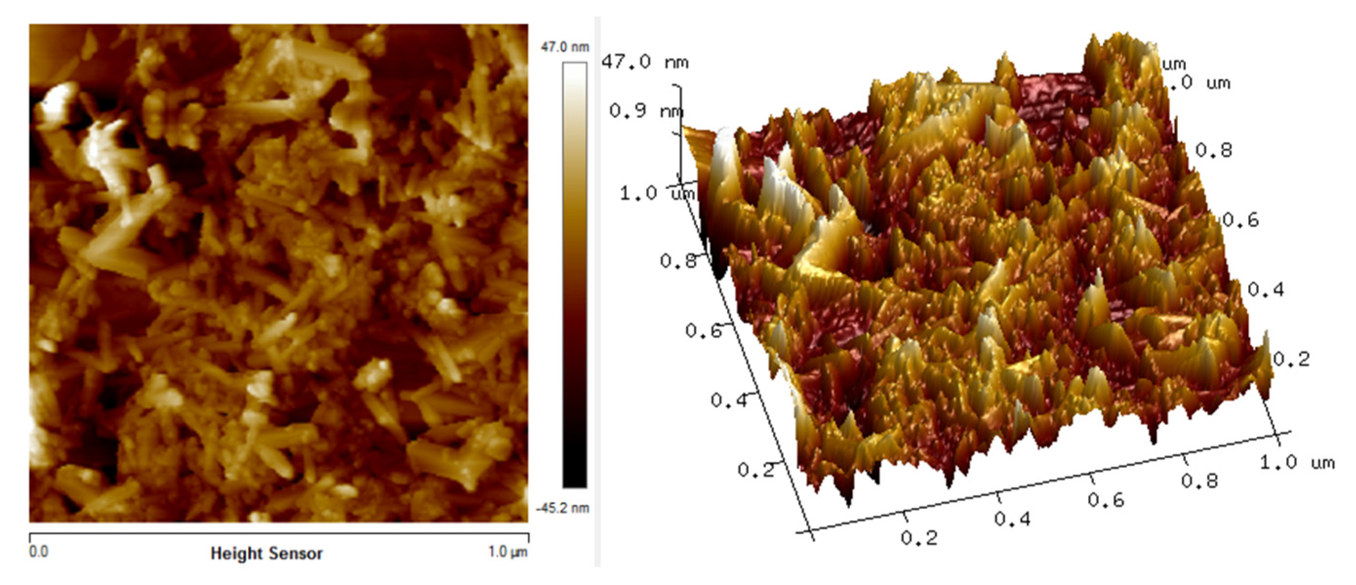 Polymers 12 01497 g004