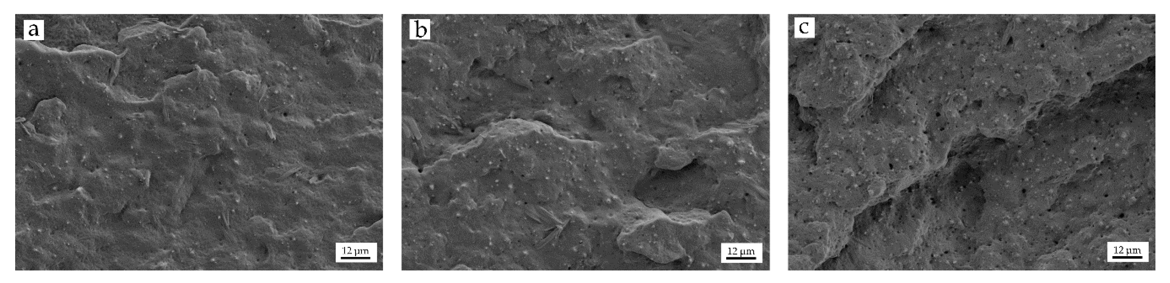 Polymers 12 01503 g002