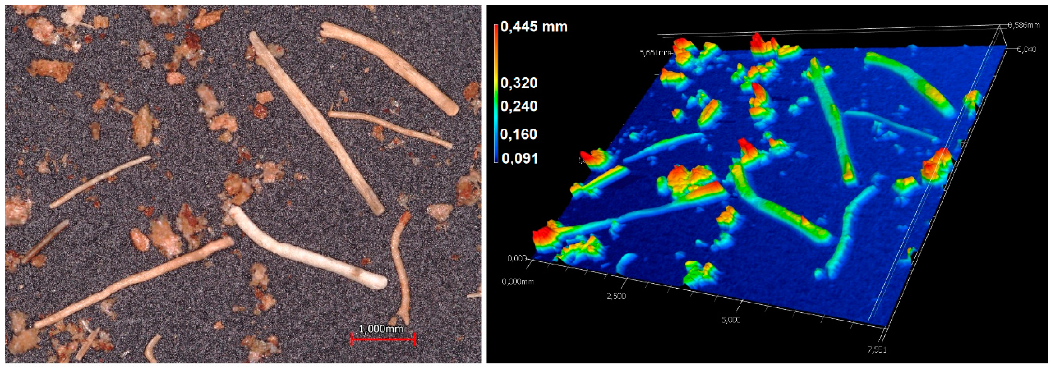 Polymers 12 01507 g003 Polymers 12 01507 g003