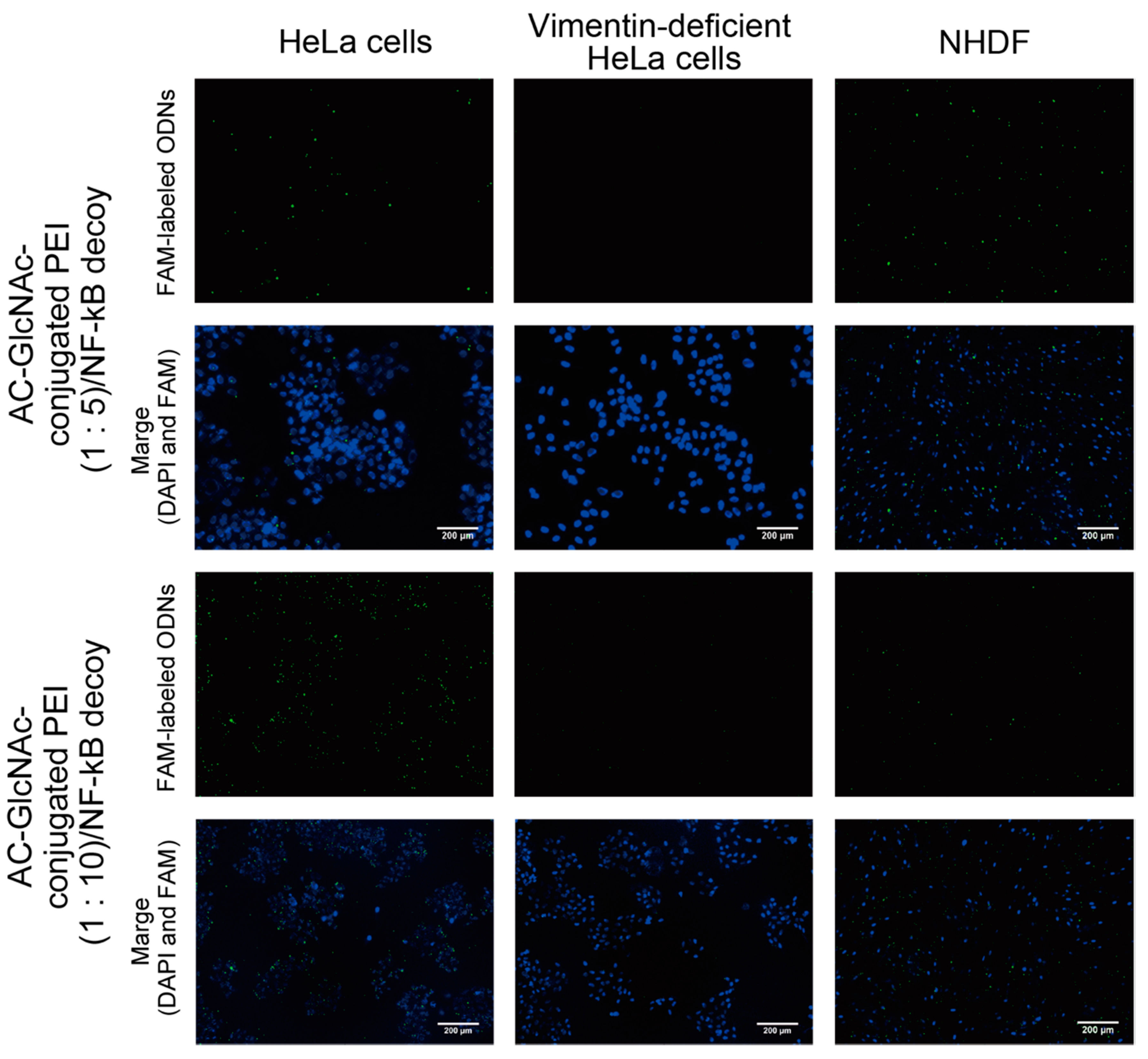 Polymers 12 01508 g006 Polymers 12 01508 g006