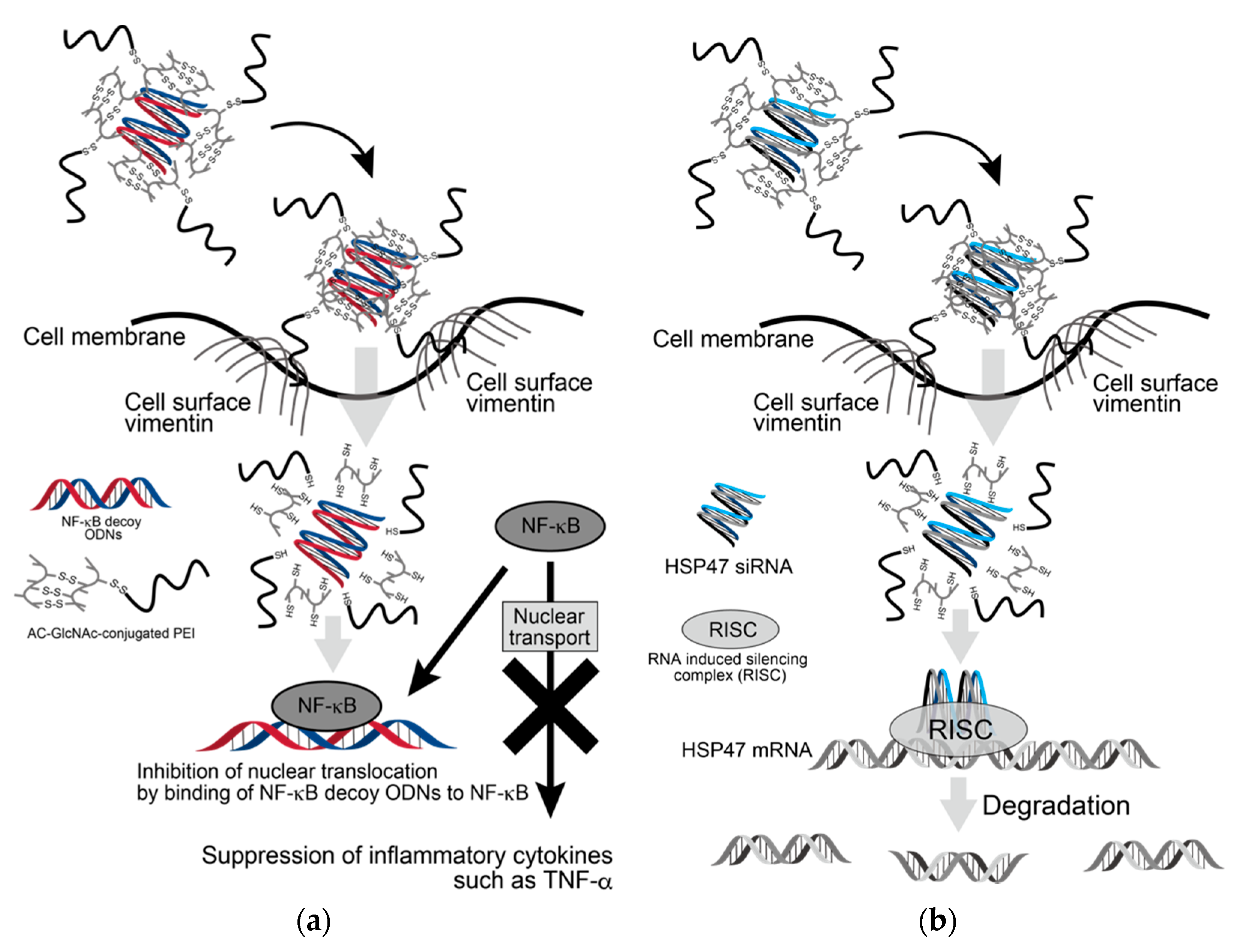 Polymers 12 01508 g008 Polymers 12 01508 g008