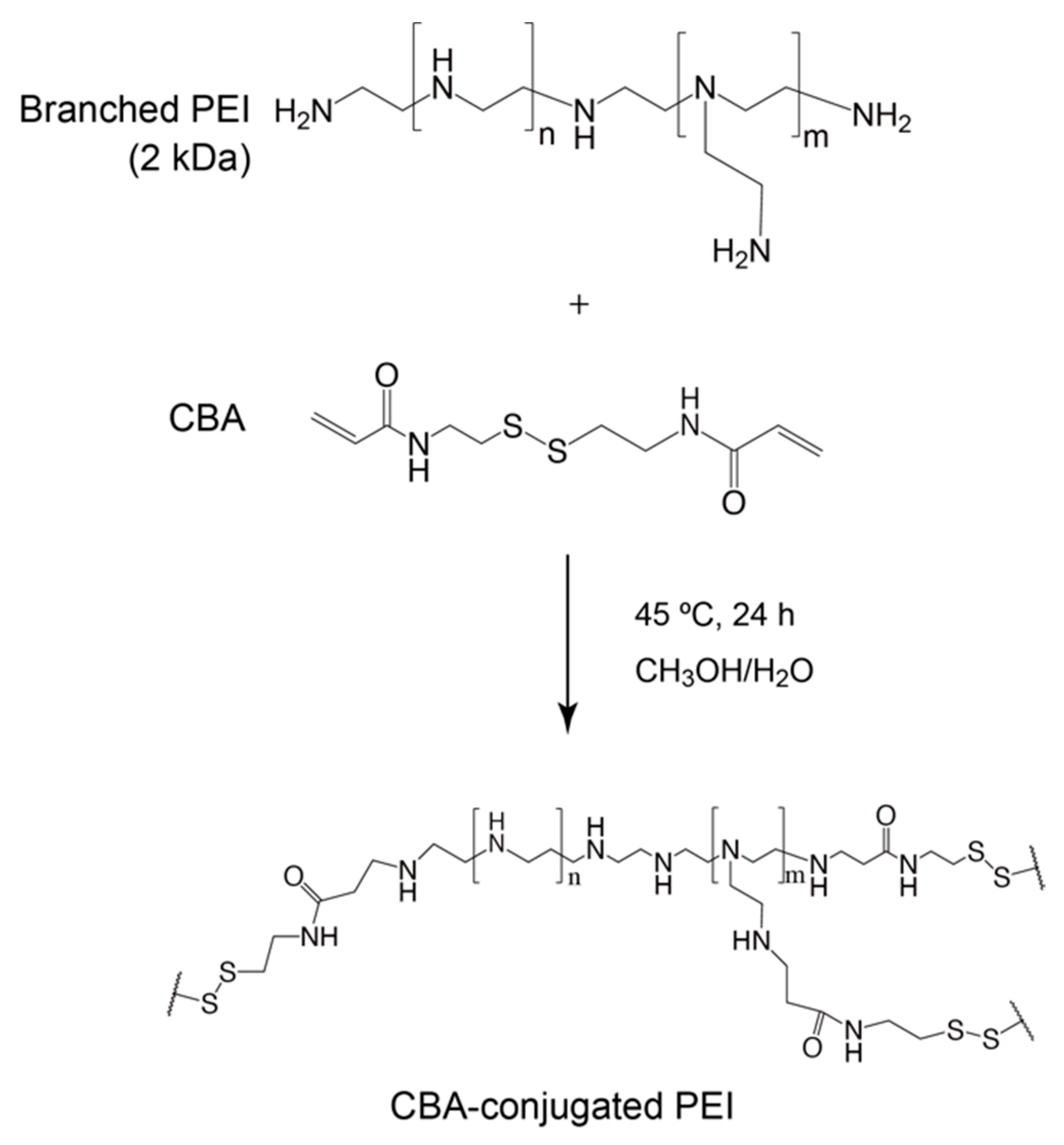 Polymers 12 01508 sch001 Polymers 12 01508 sch001
