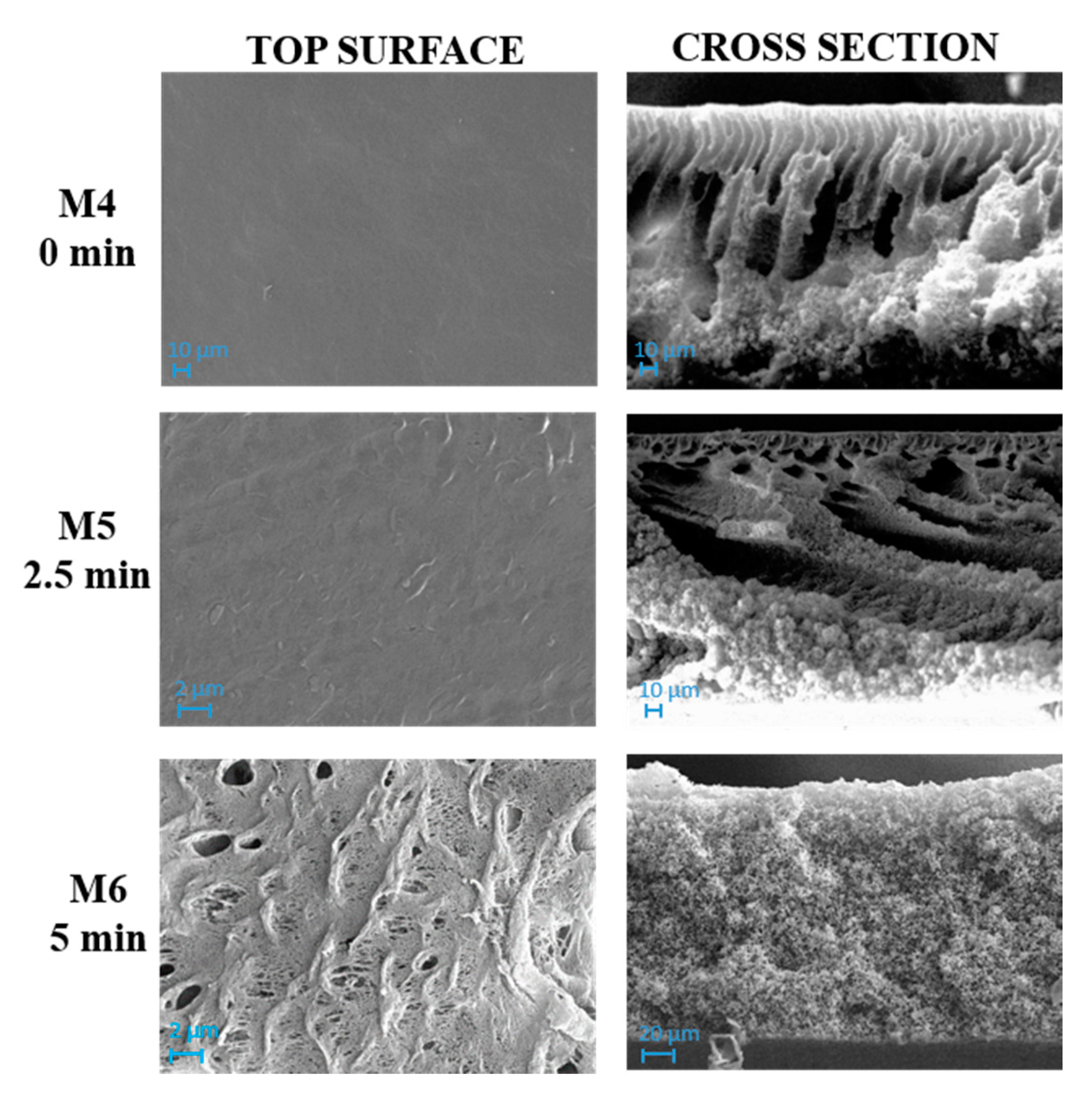 Polymers 12 01509 g004 Polymers 12 01509 g004