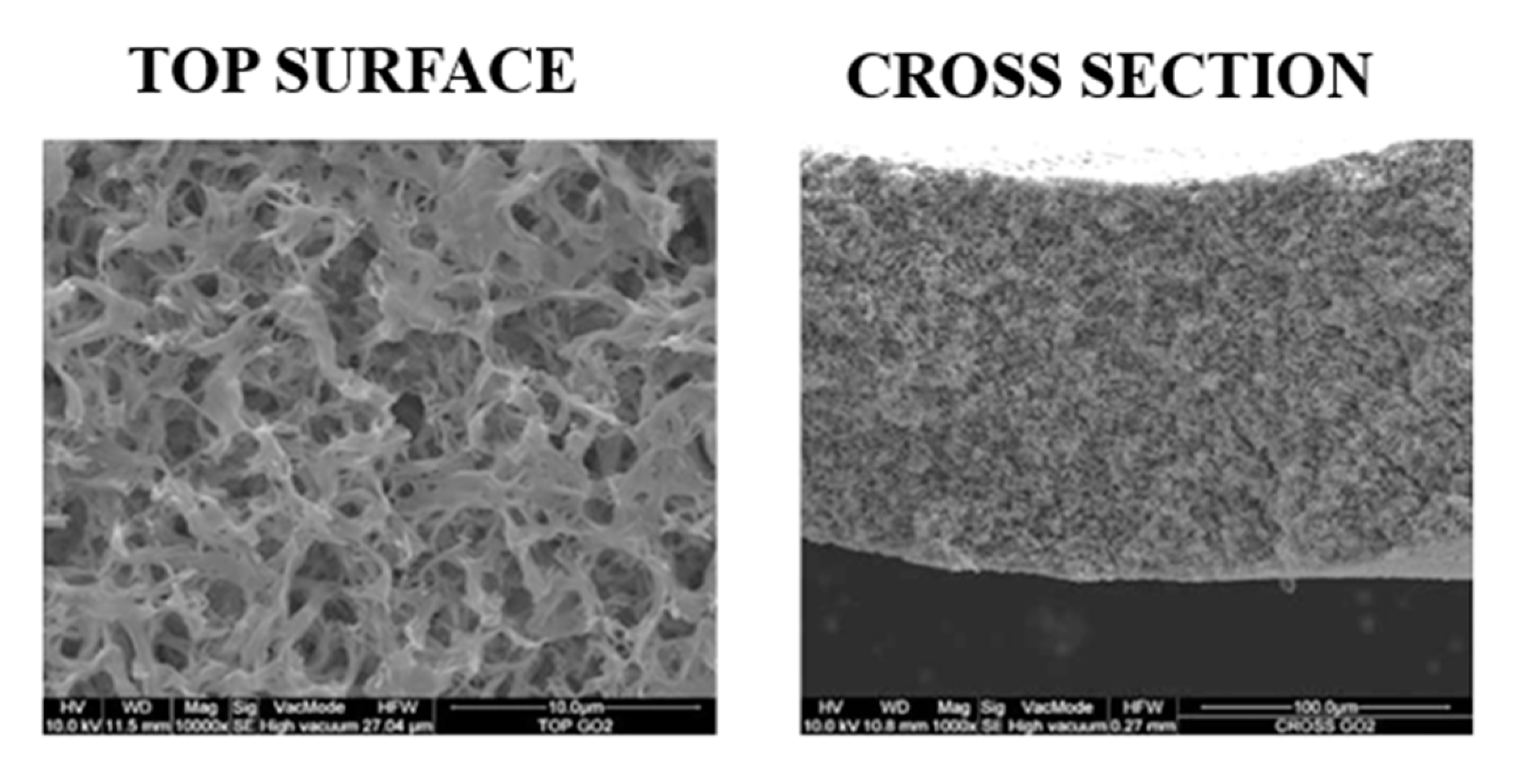 Polymers 12 01509 g006 Polymers 12 01509 g006