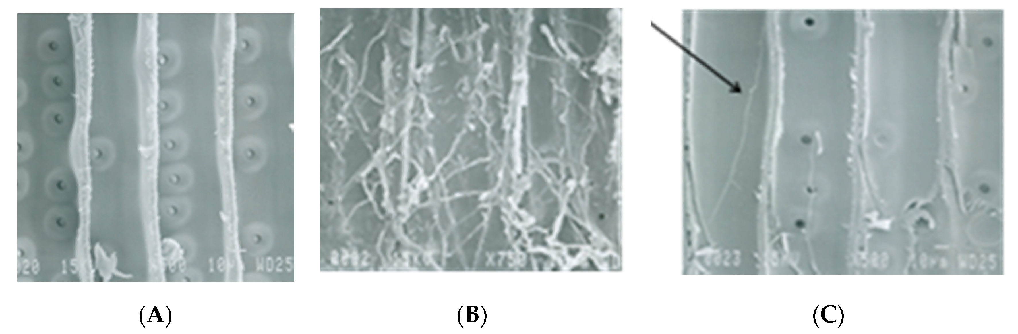 Polymers 12 01511 g001