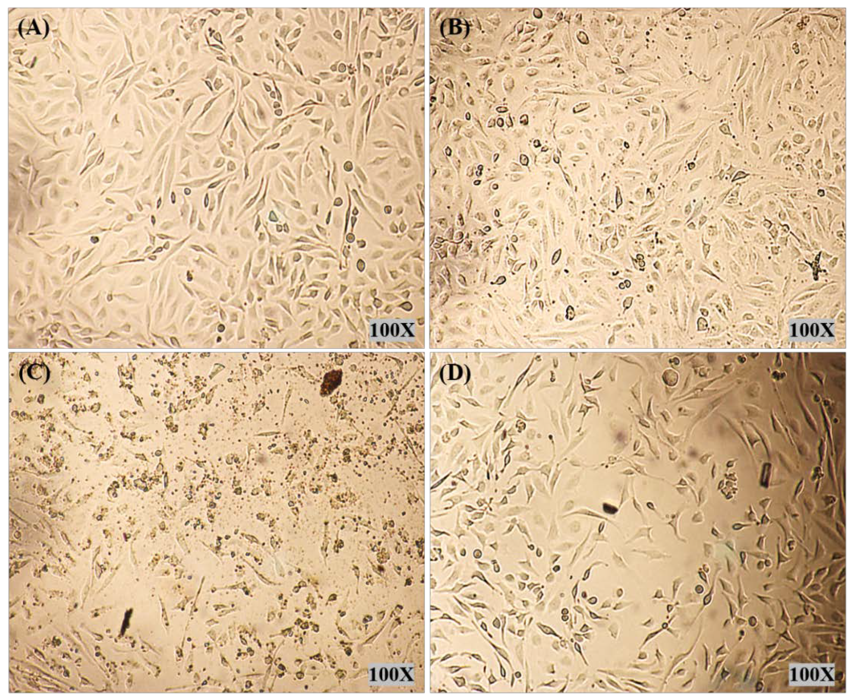 Polymers 12 01516 g007 Polymers 12 01516 g007
