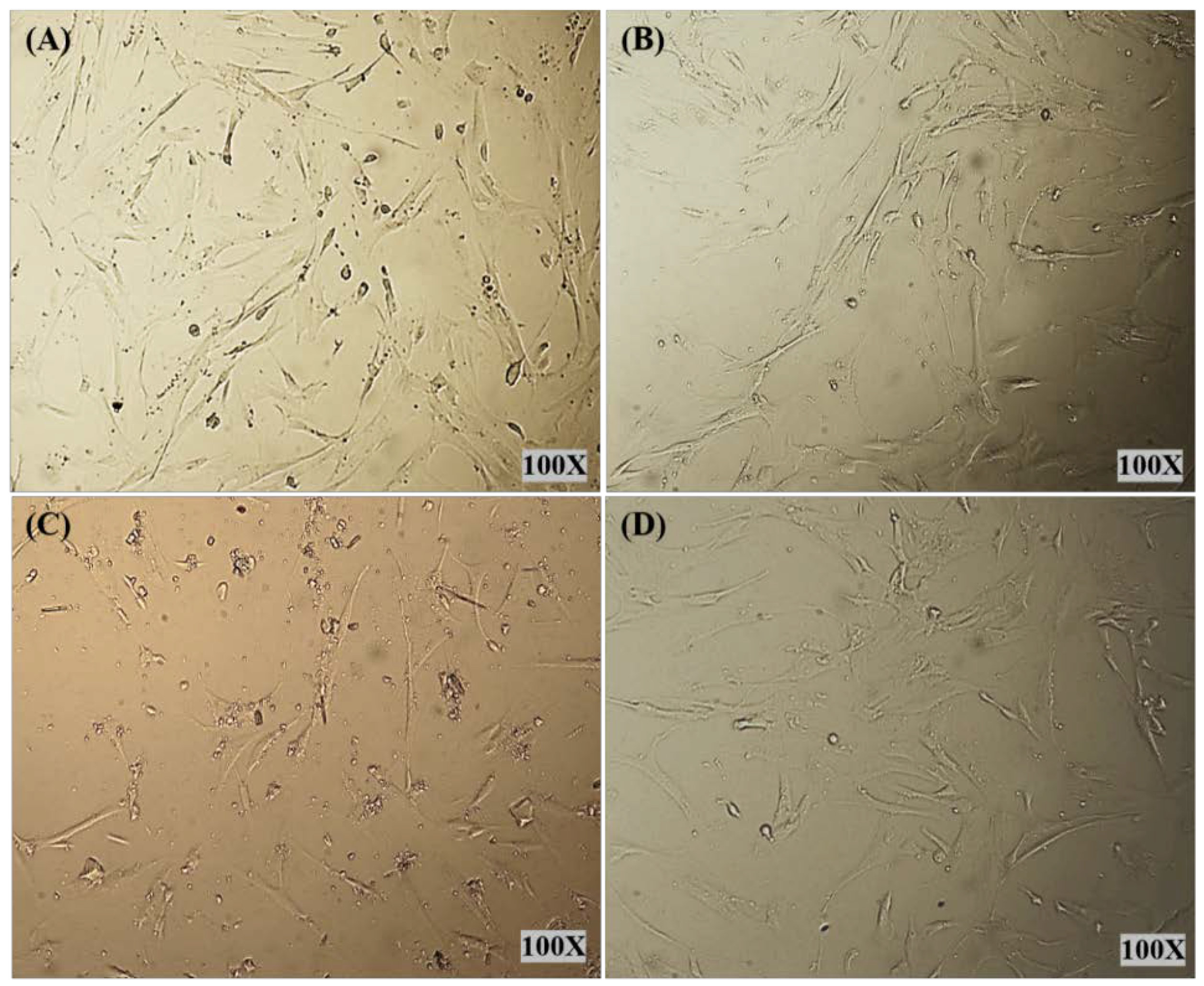 Polymers 12 01516 g008 Polymers 12 01516 g008