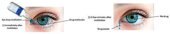 Polymers 12 01519 g002 550