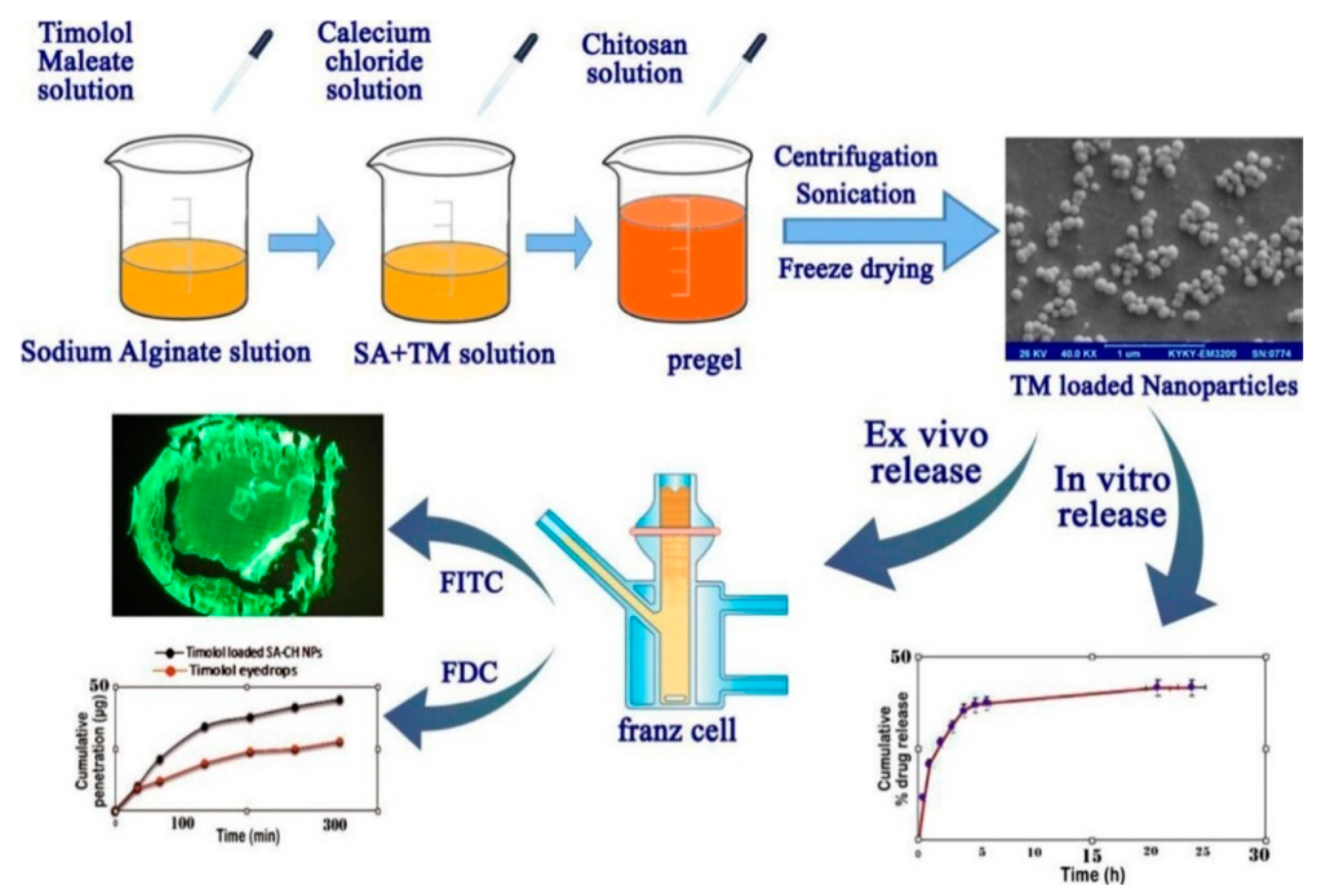 Polymers 12 01519 g006 Polymers 12 01519 g006