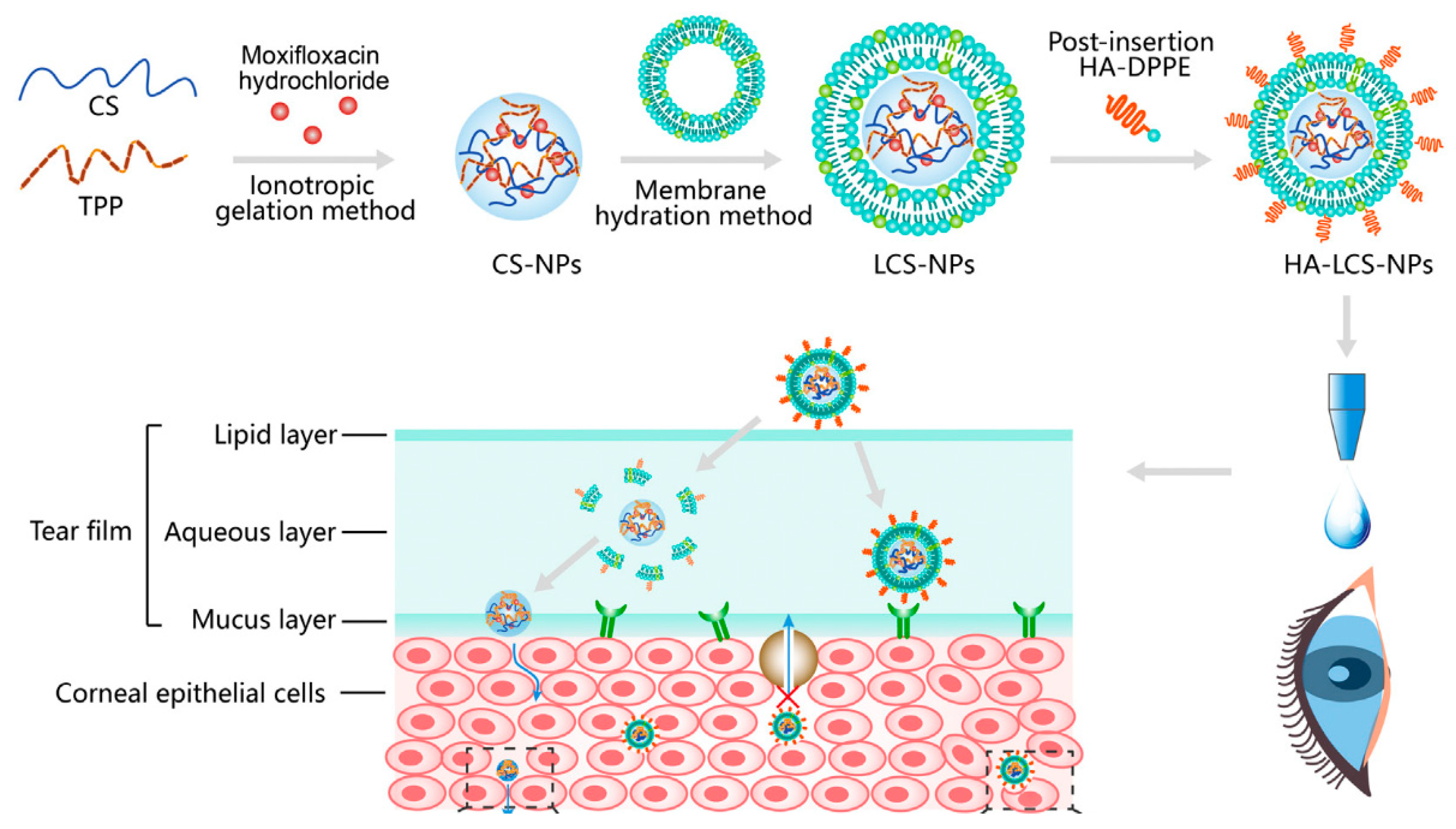 Polymers 12 01519 g012 Polymers 12 01519 g012