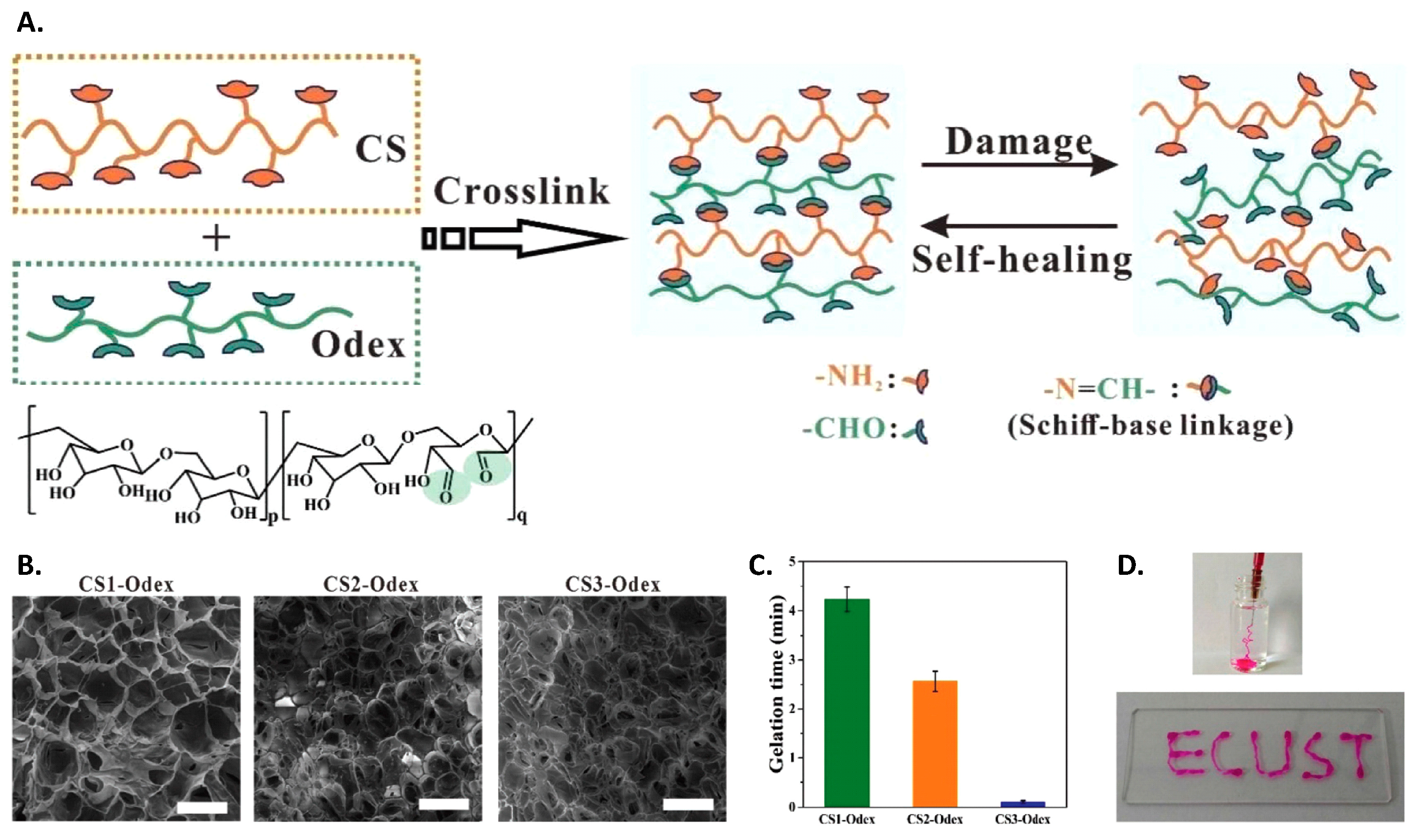 Polymers 12 01519 g015 Polymers 12 01519 g015