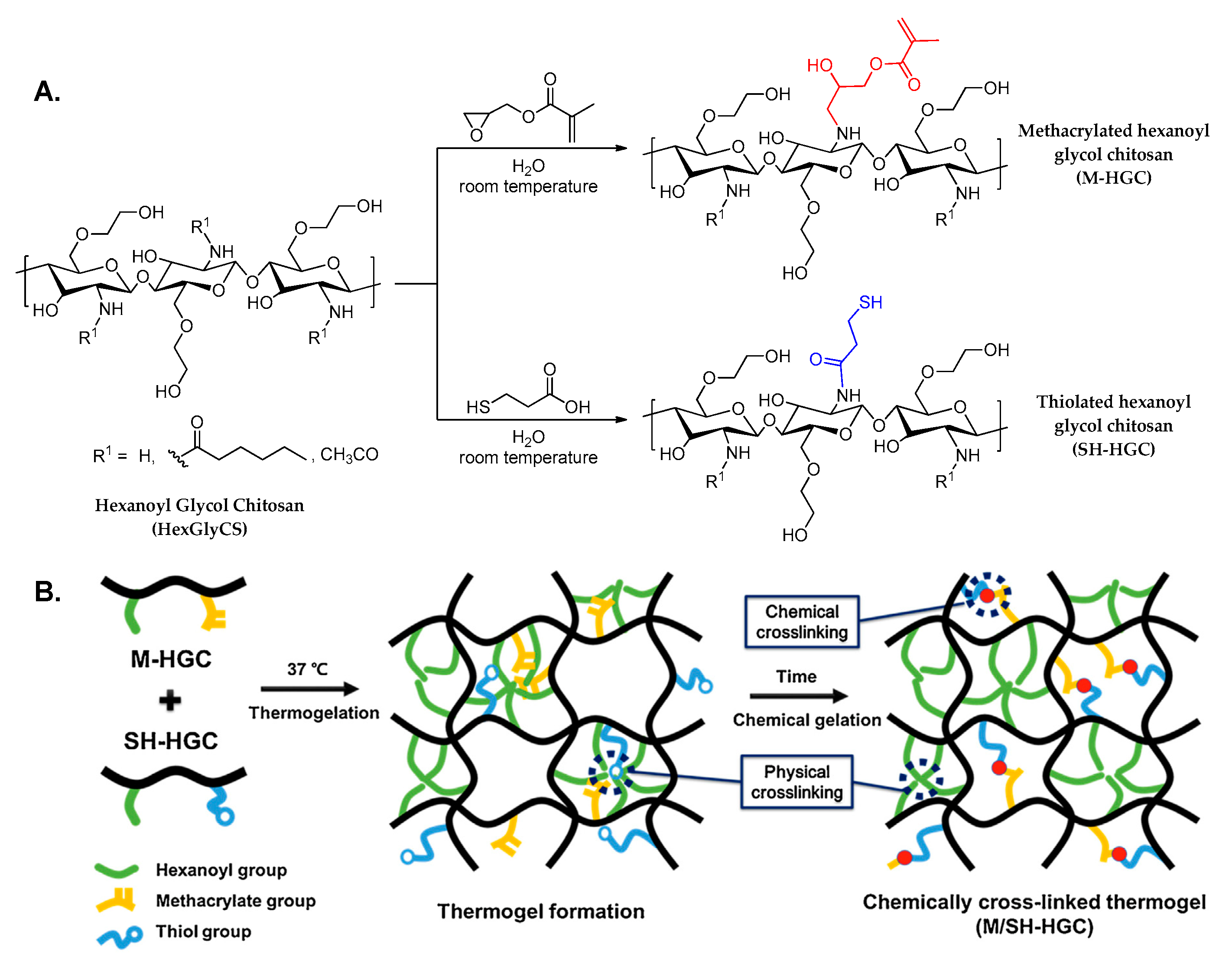 Polymers 12 01519 g017 Polymers 12 01519 g017