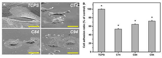 Polymers 12 01519 g021 550