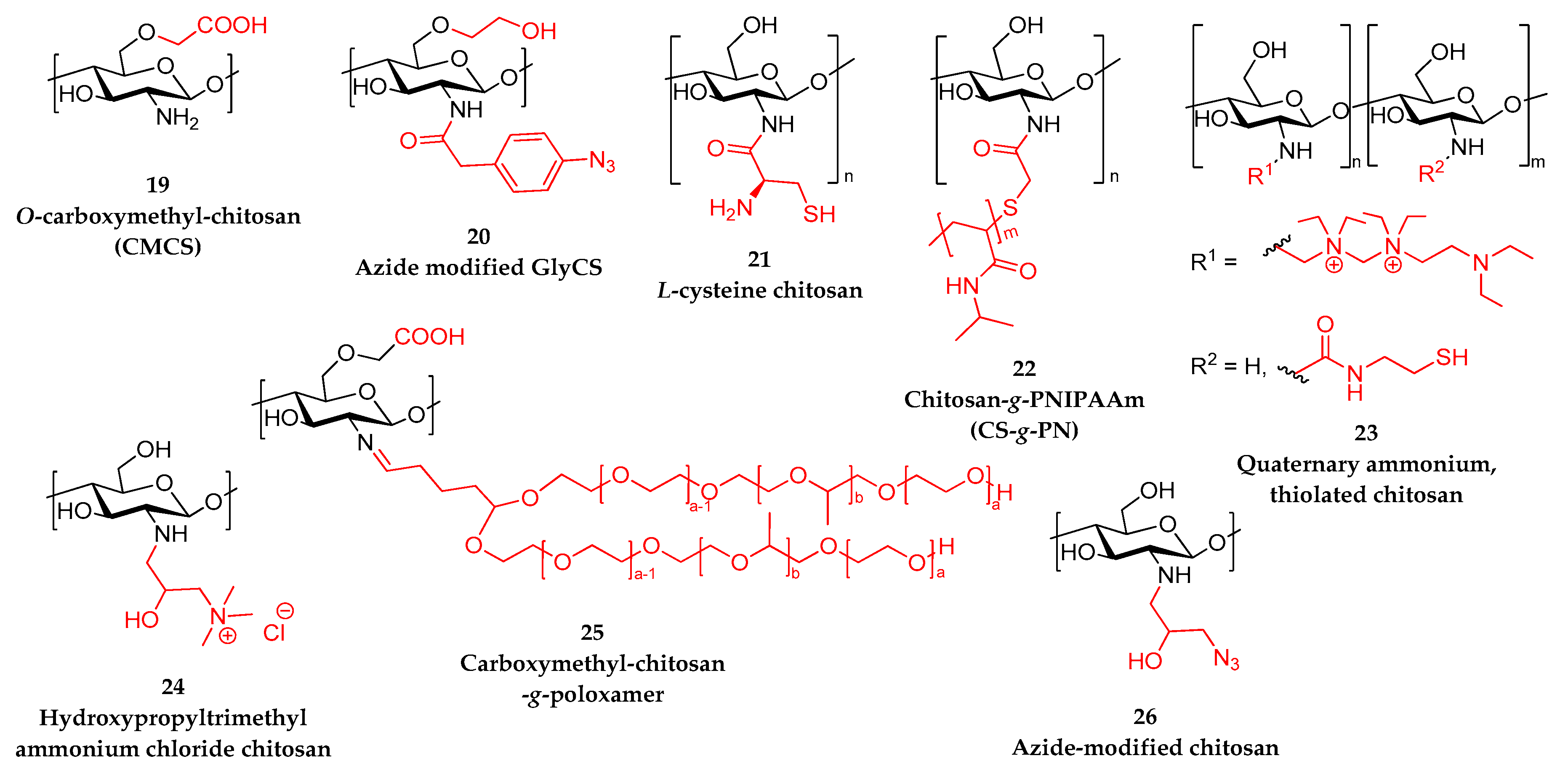 Polymers 12 01519 sch003 Polymers 12 01519 sch003