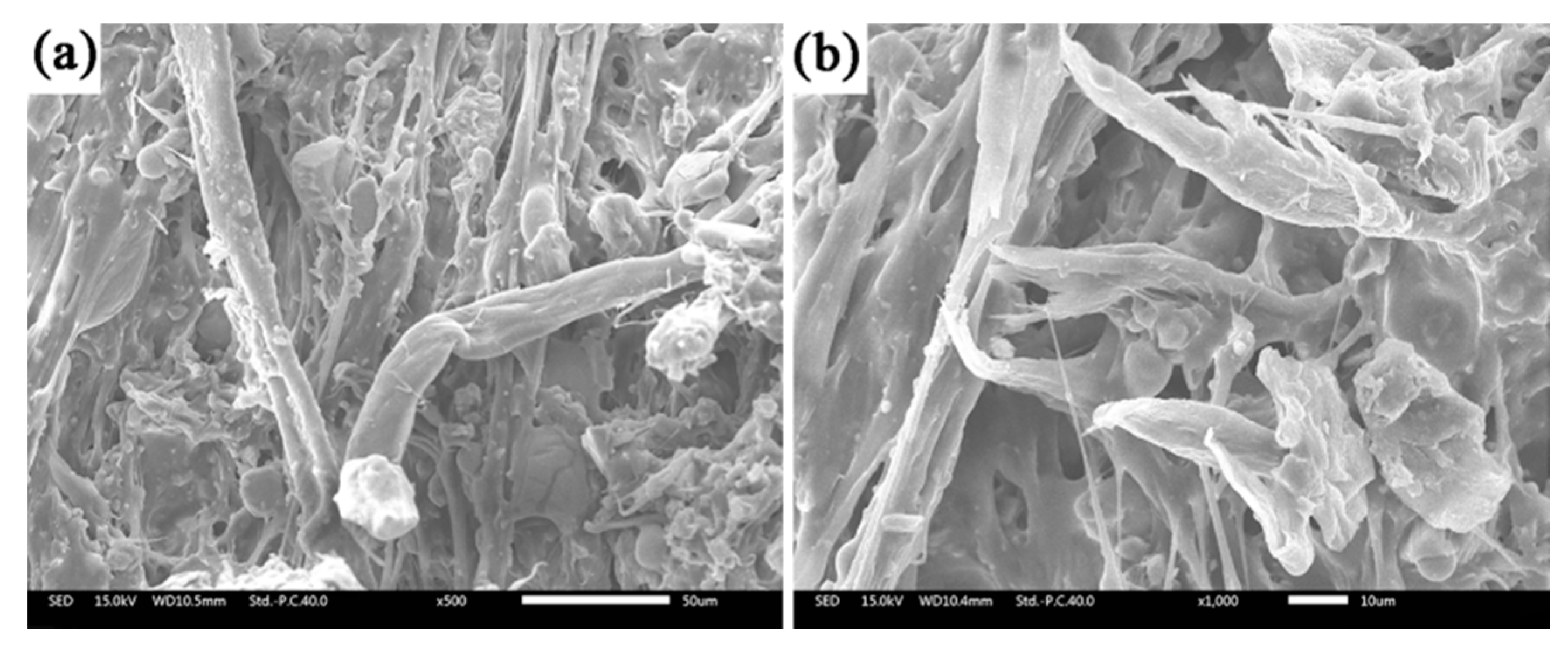 Polymers 12 01523 g007 Polymers 12 01523 g007