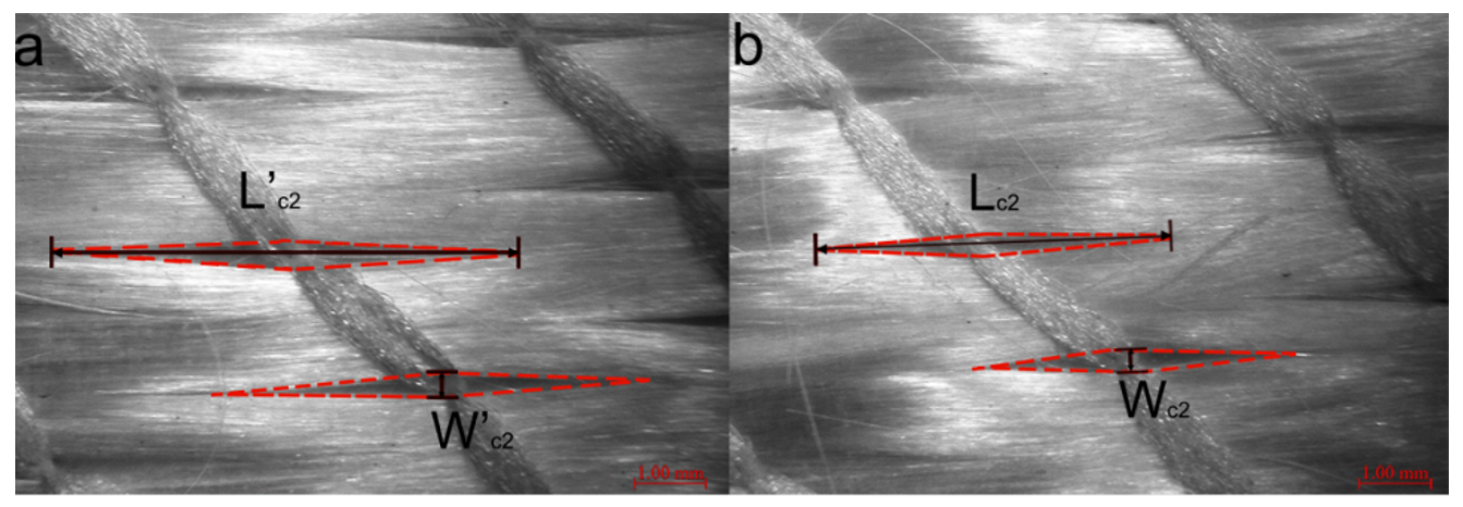 Polymers 12 01525 g006 Polymers 12 01525 g006