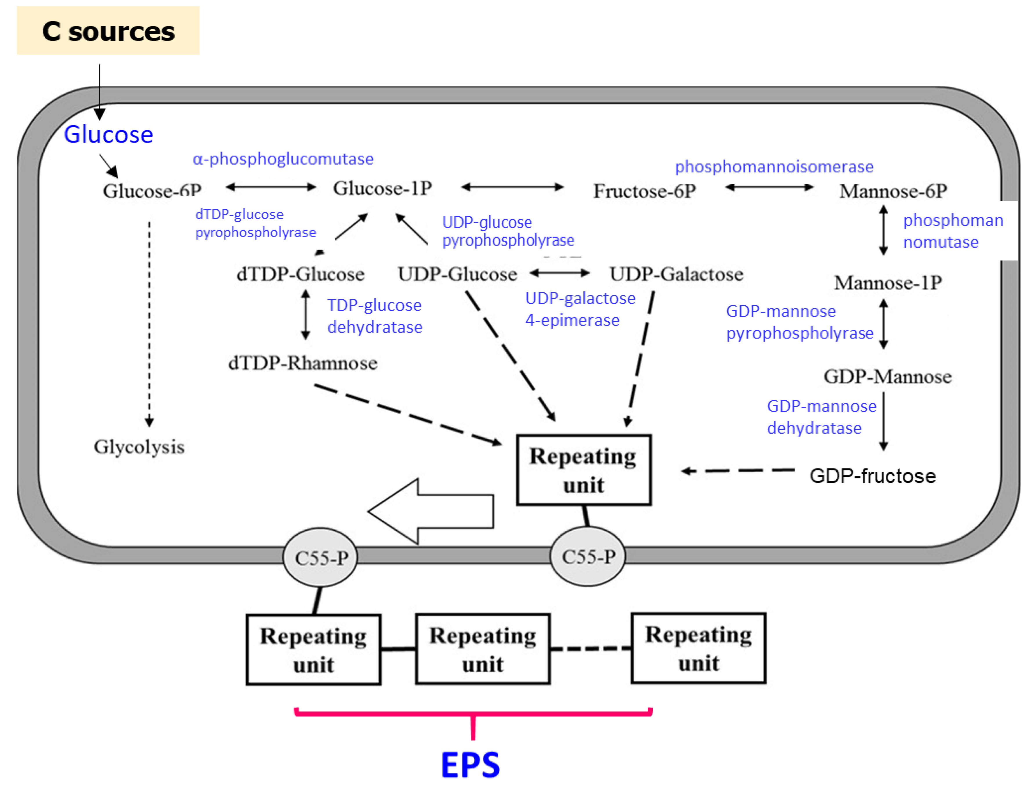 Polymers 12 01531 g009 Polymers 12 01531 g009