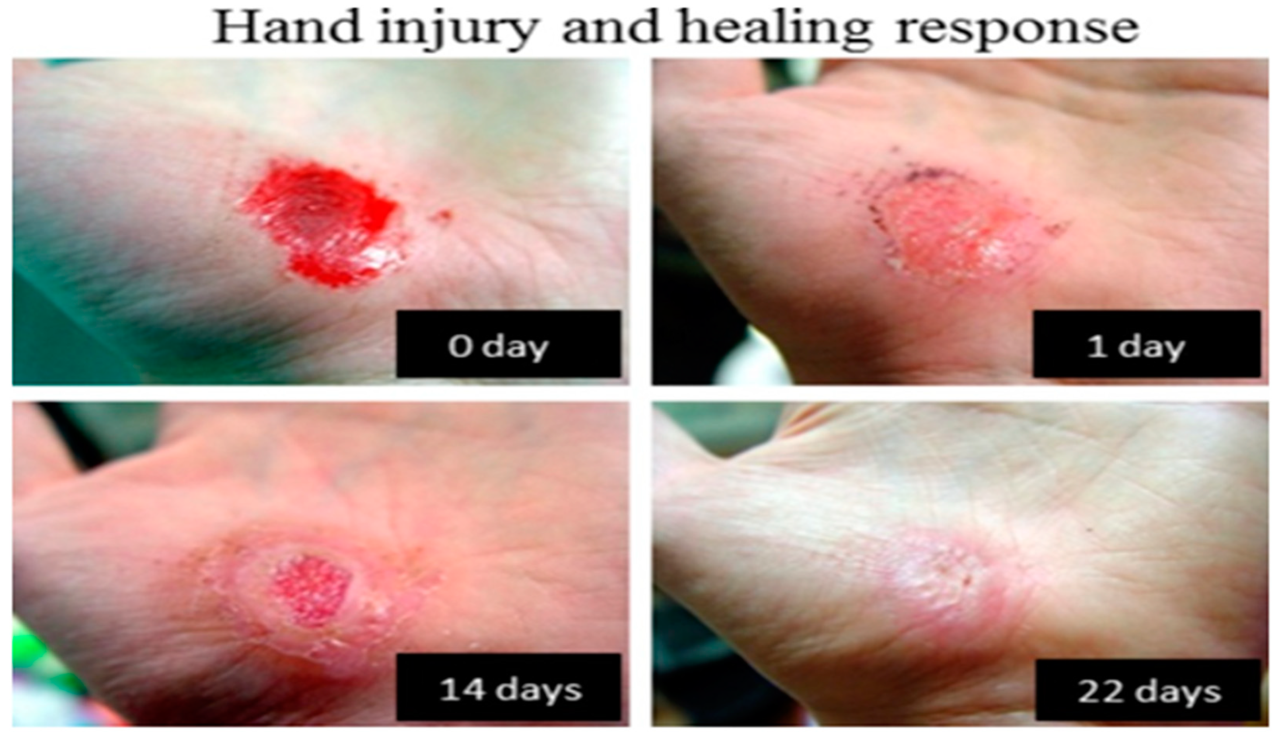 Polymers 12 01534 g002