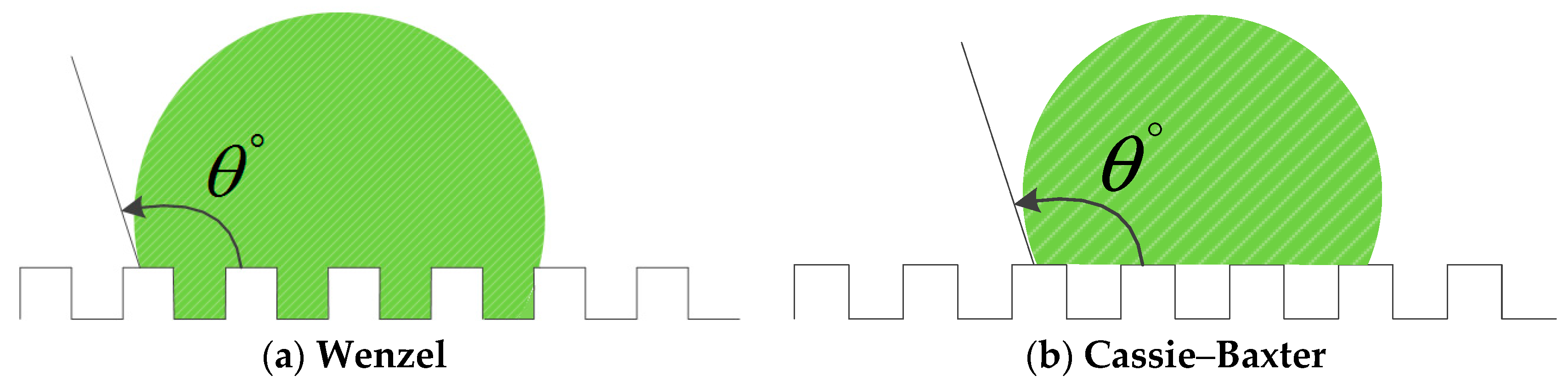 Polymers 12 01539 g006