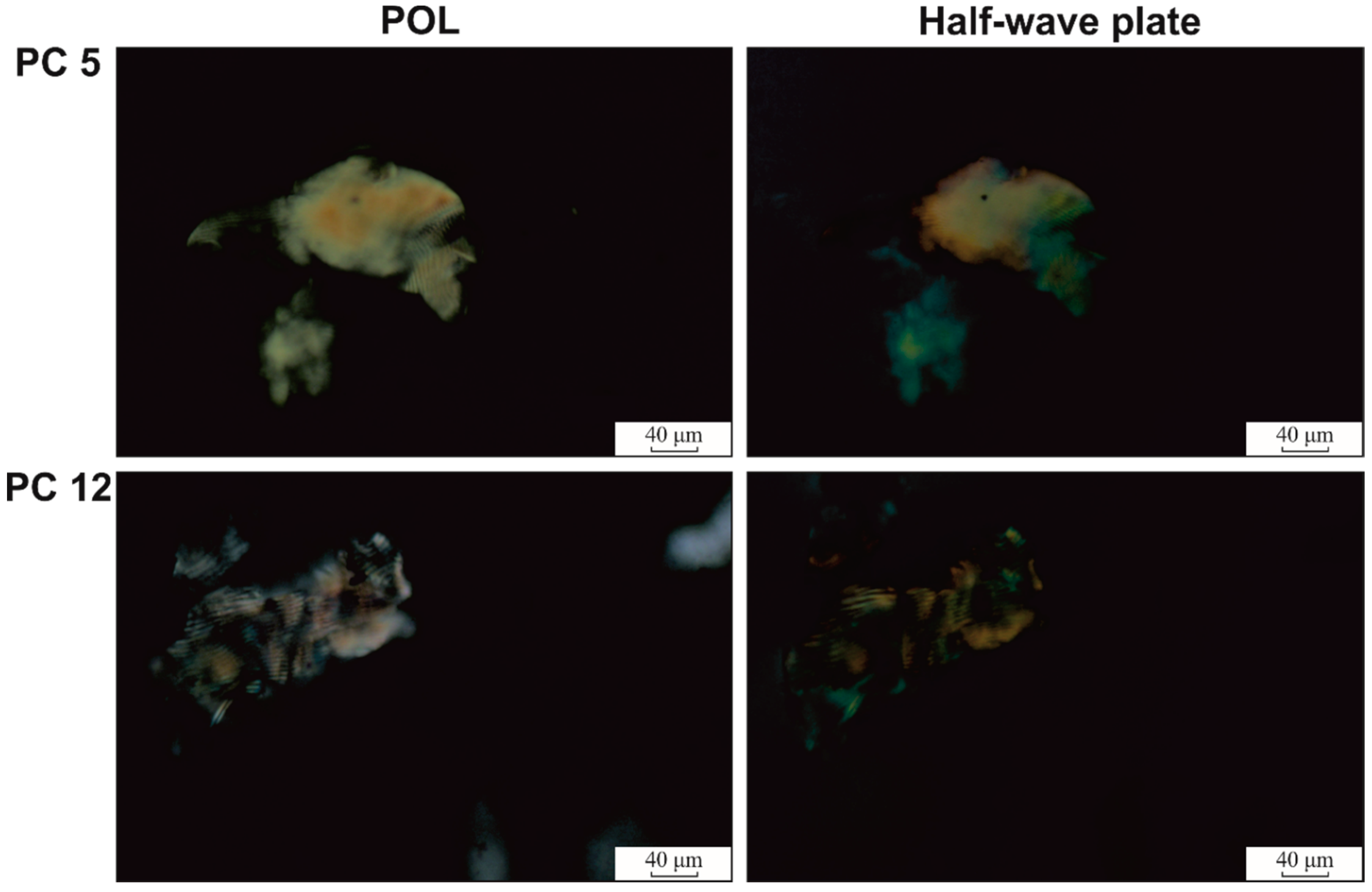 Polymers 12 01544 g009 Polymers 12 01544 g009