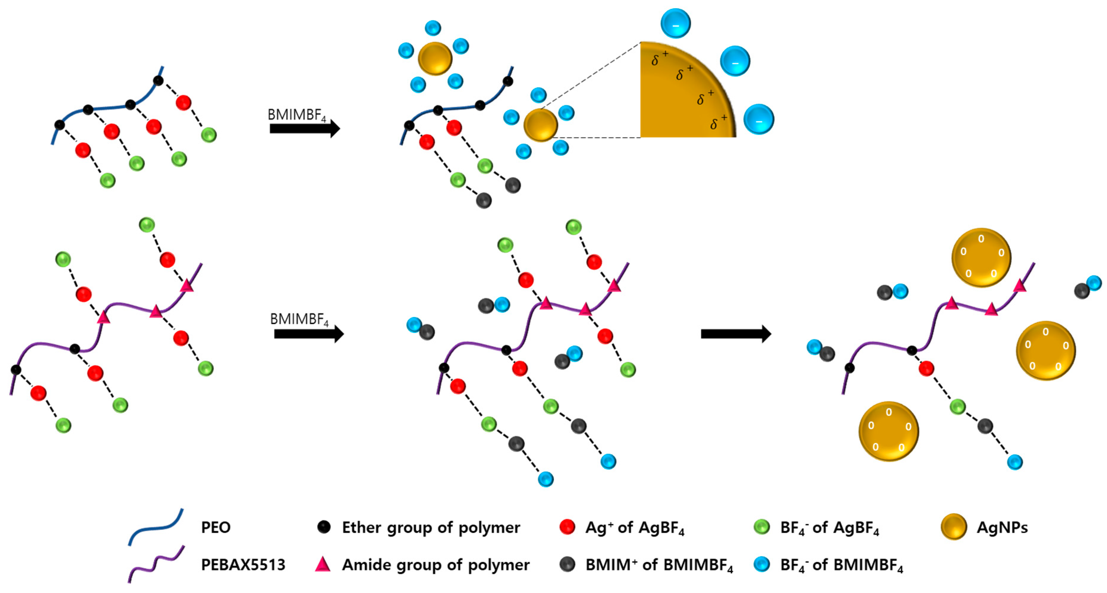Polymers 12 01550 sch001 Polymers 12 01550 sch001