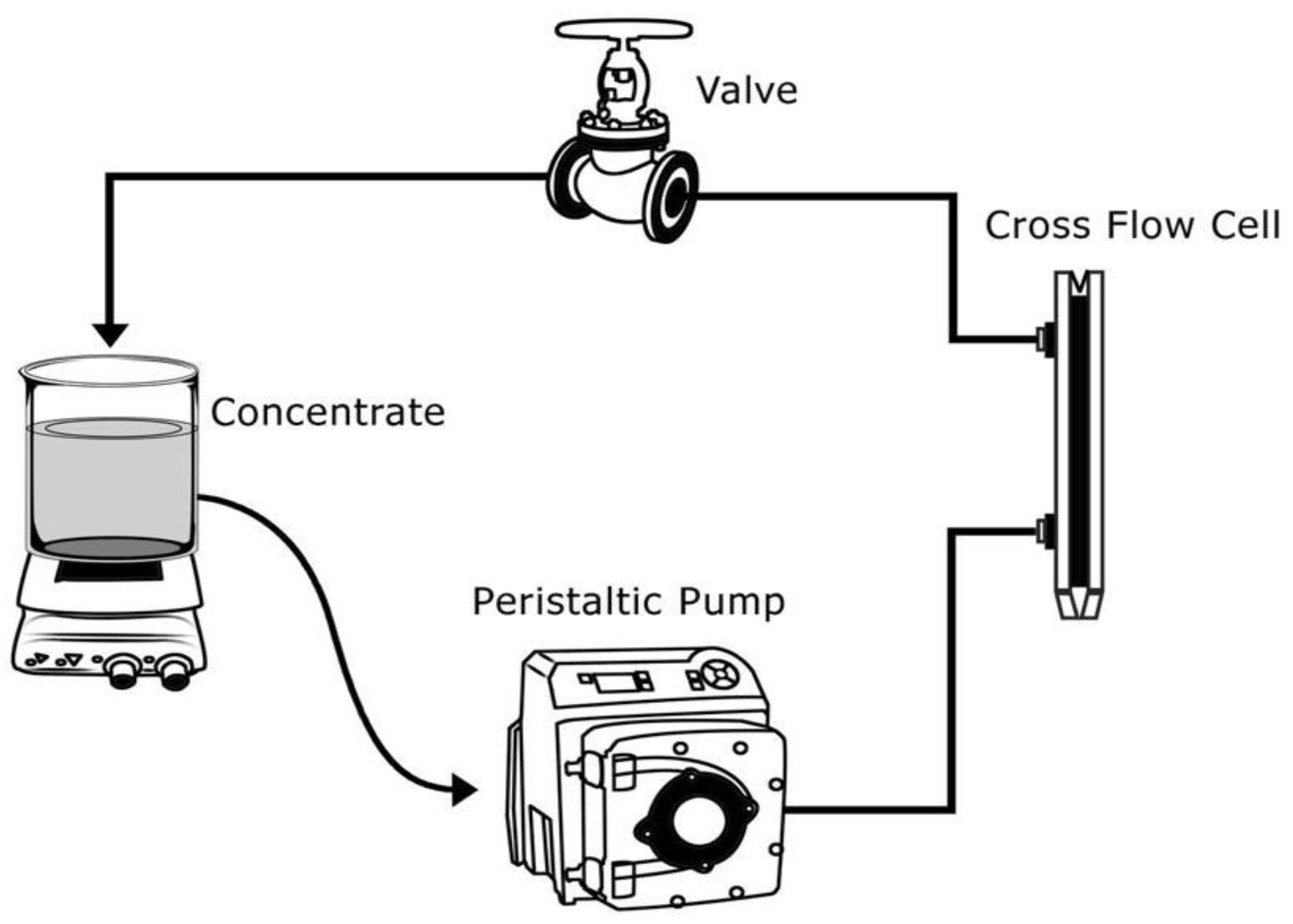 Polymers 12 01555 g002 Polymers 12 01555 g002
