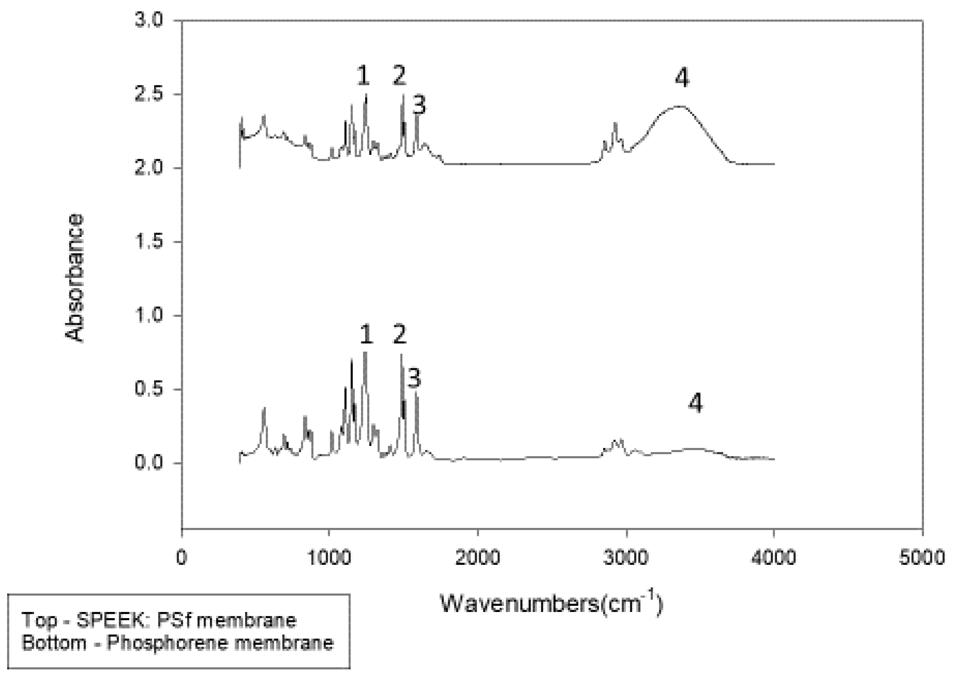 Polymers 12 01555 g005 Polymers 12 01555 g005