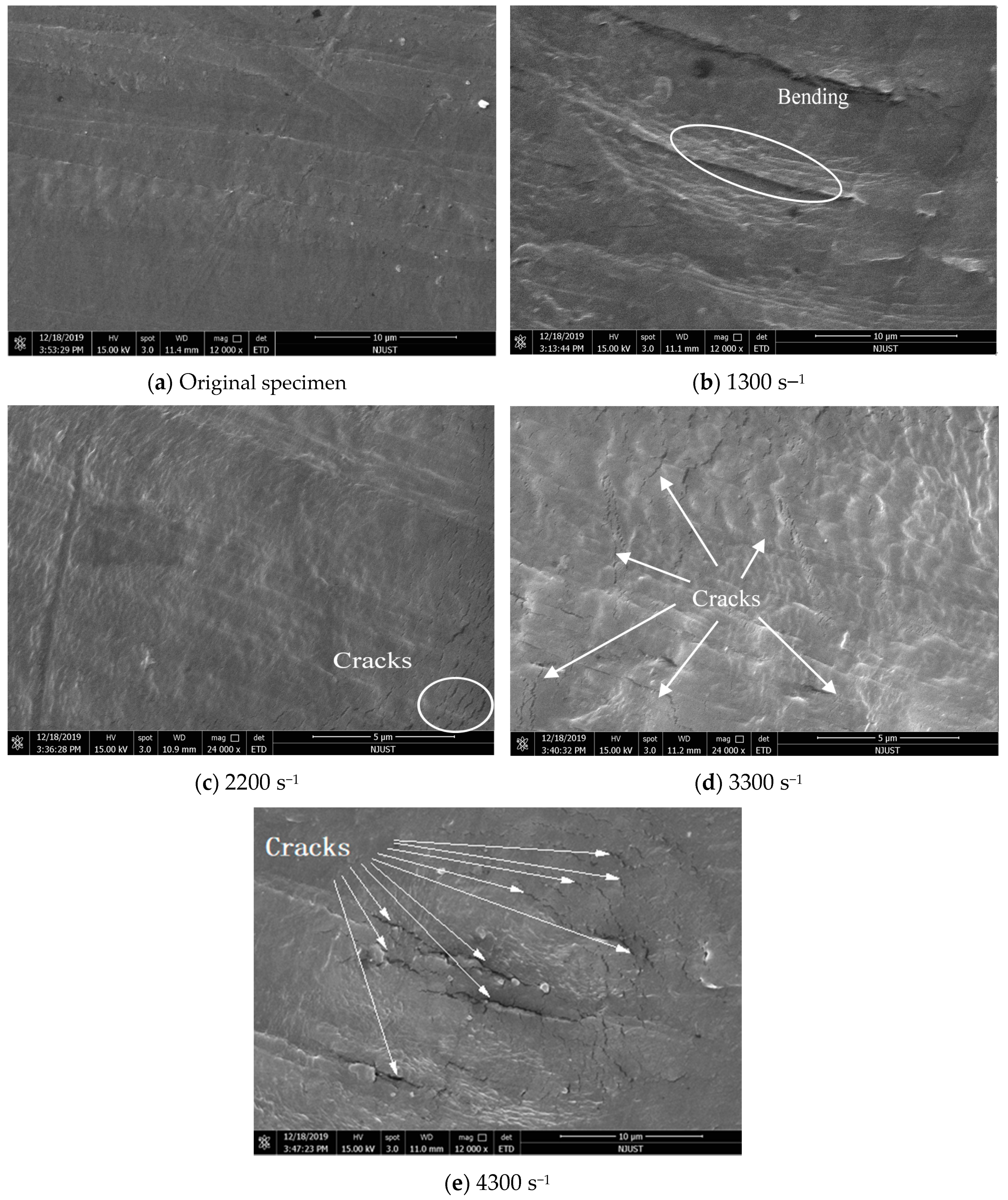 Polymers 12 01561 g006 Polymers 12 01561 g006
