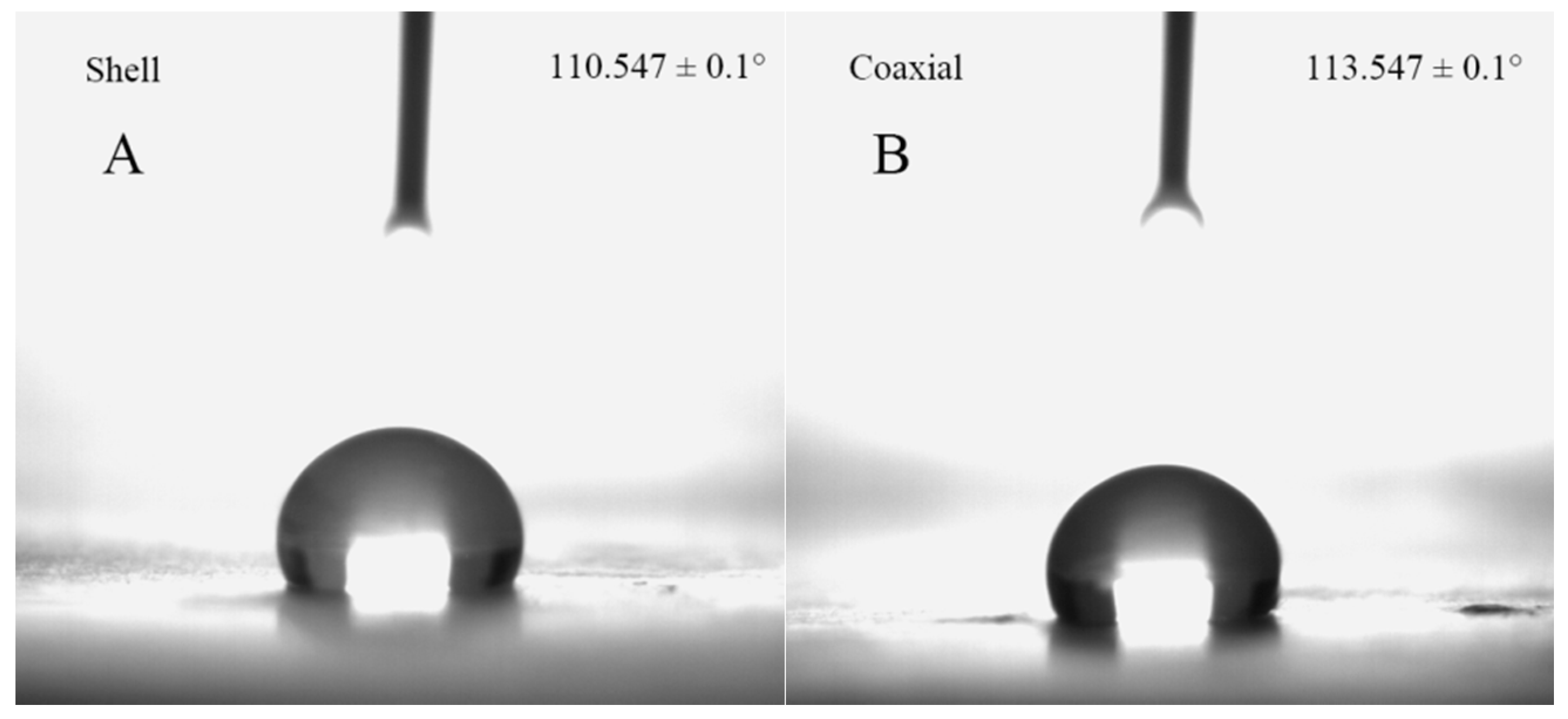 Polymers 12 01565 g005