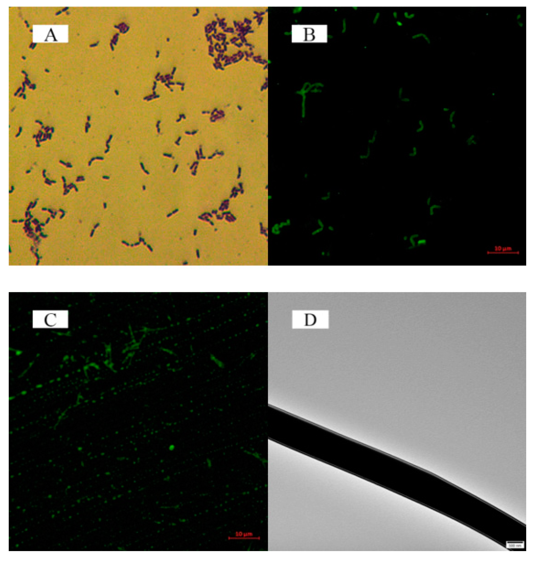 Polymers 12 01565 g006