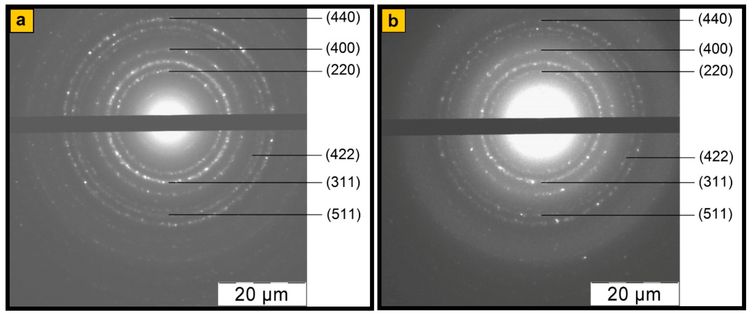 Polymers 12 01568 g003 Polymers 12 01568 g003
