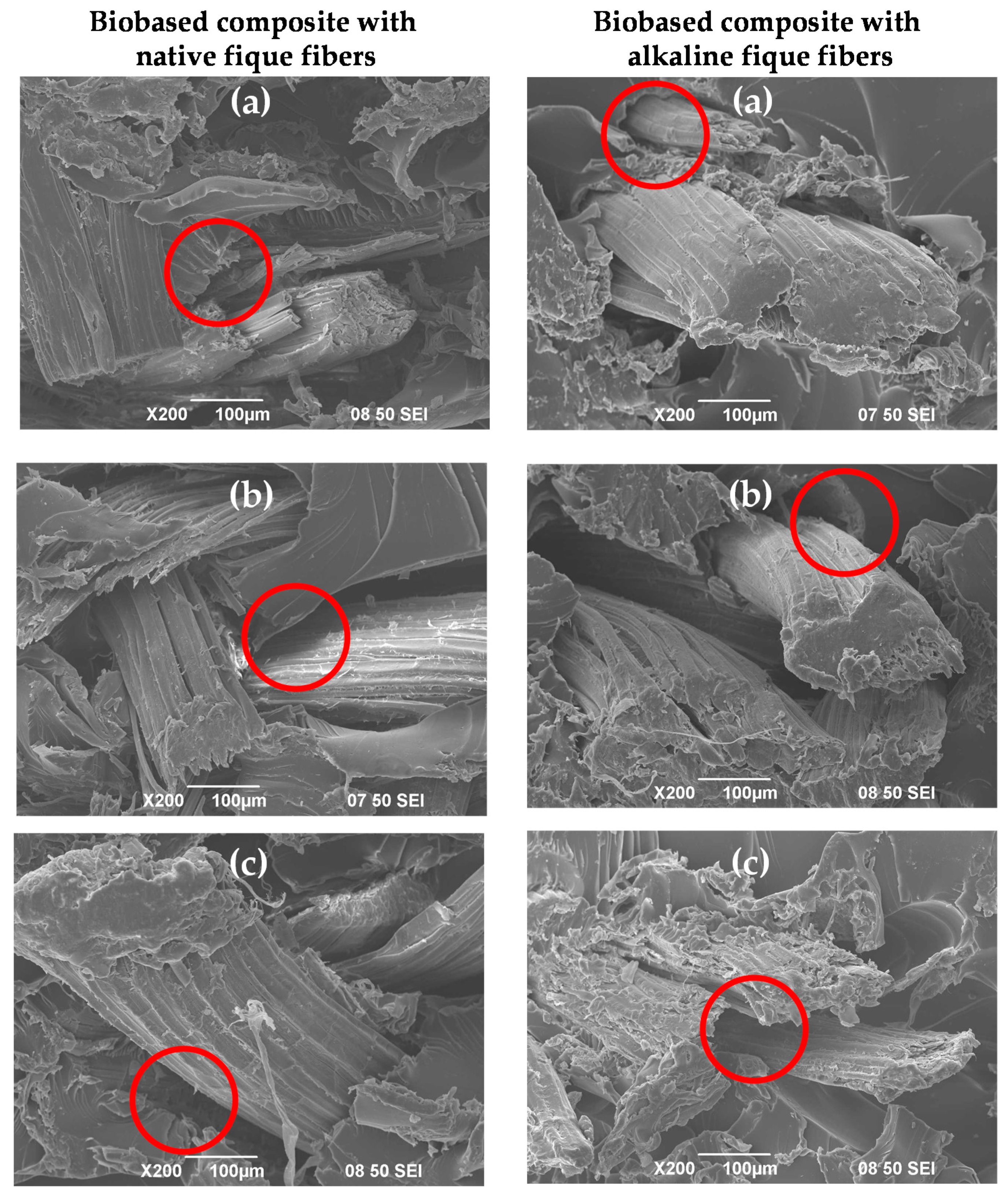 Polymers 12 01573 g007 Polymers 12 01573 g007