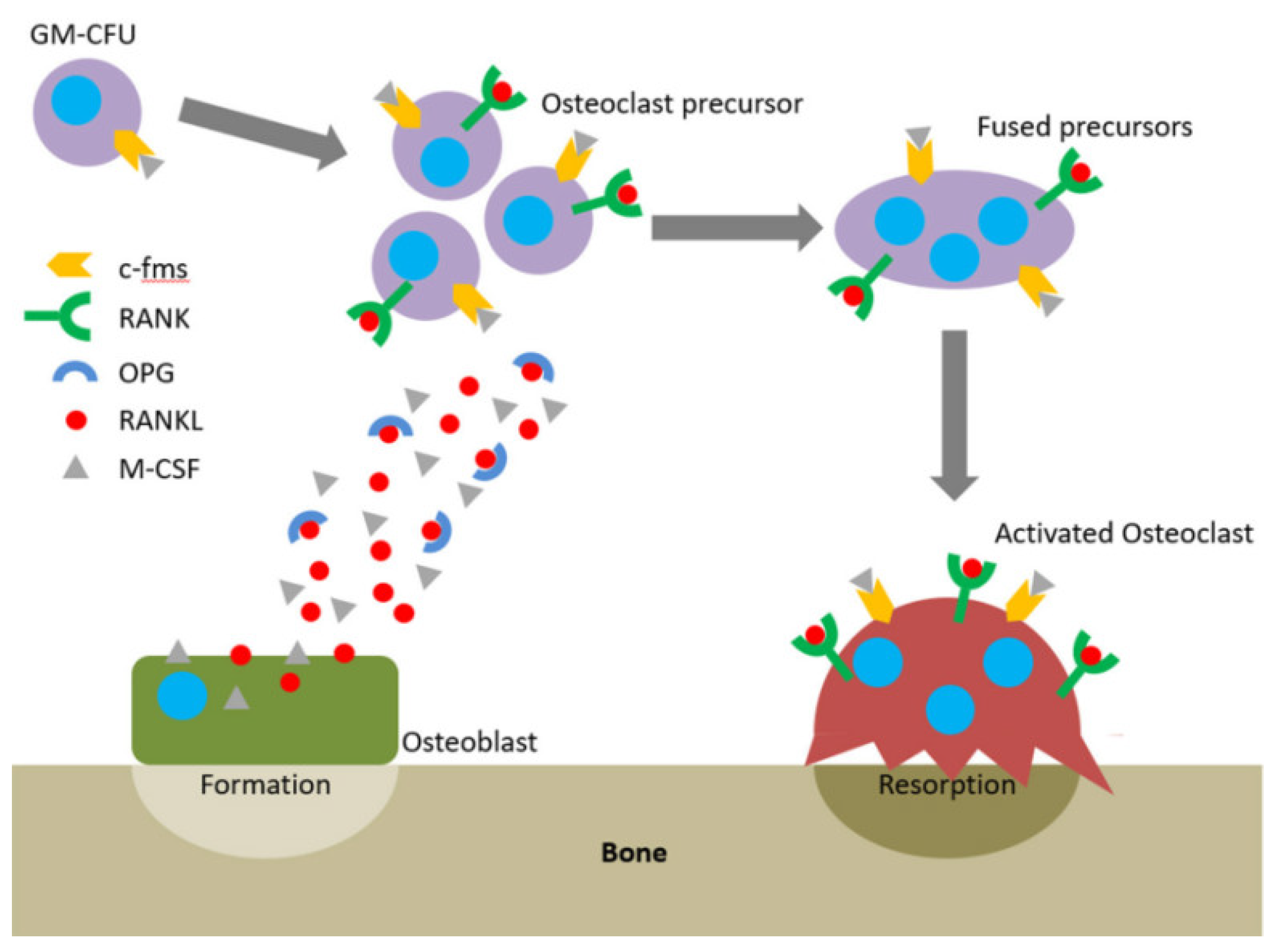 Polymers 12 01574 g003 Polymers 12 01574 g003