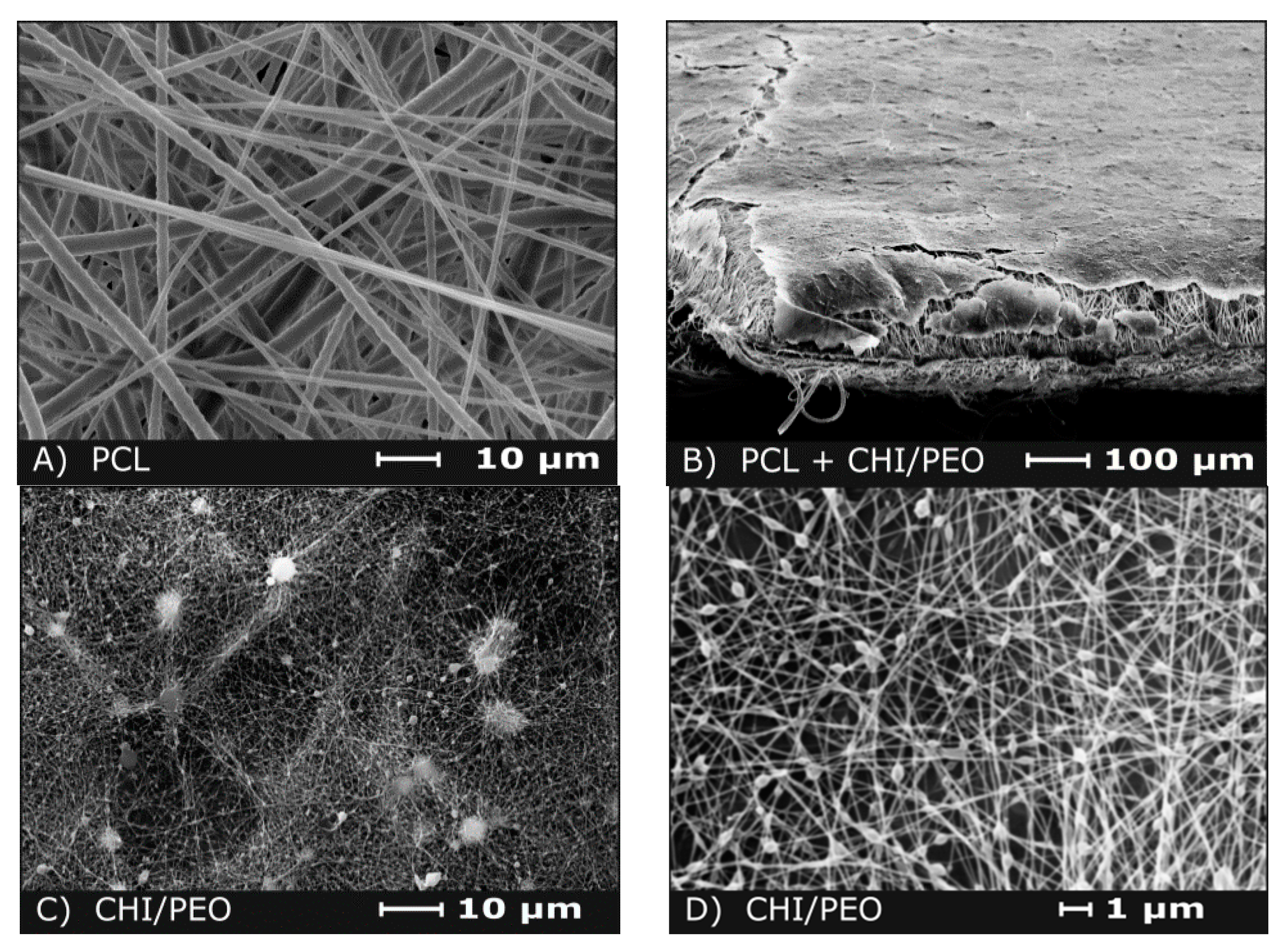 Polymers 12 01580 g001 Polymers 12 01580 g001