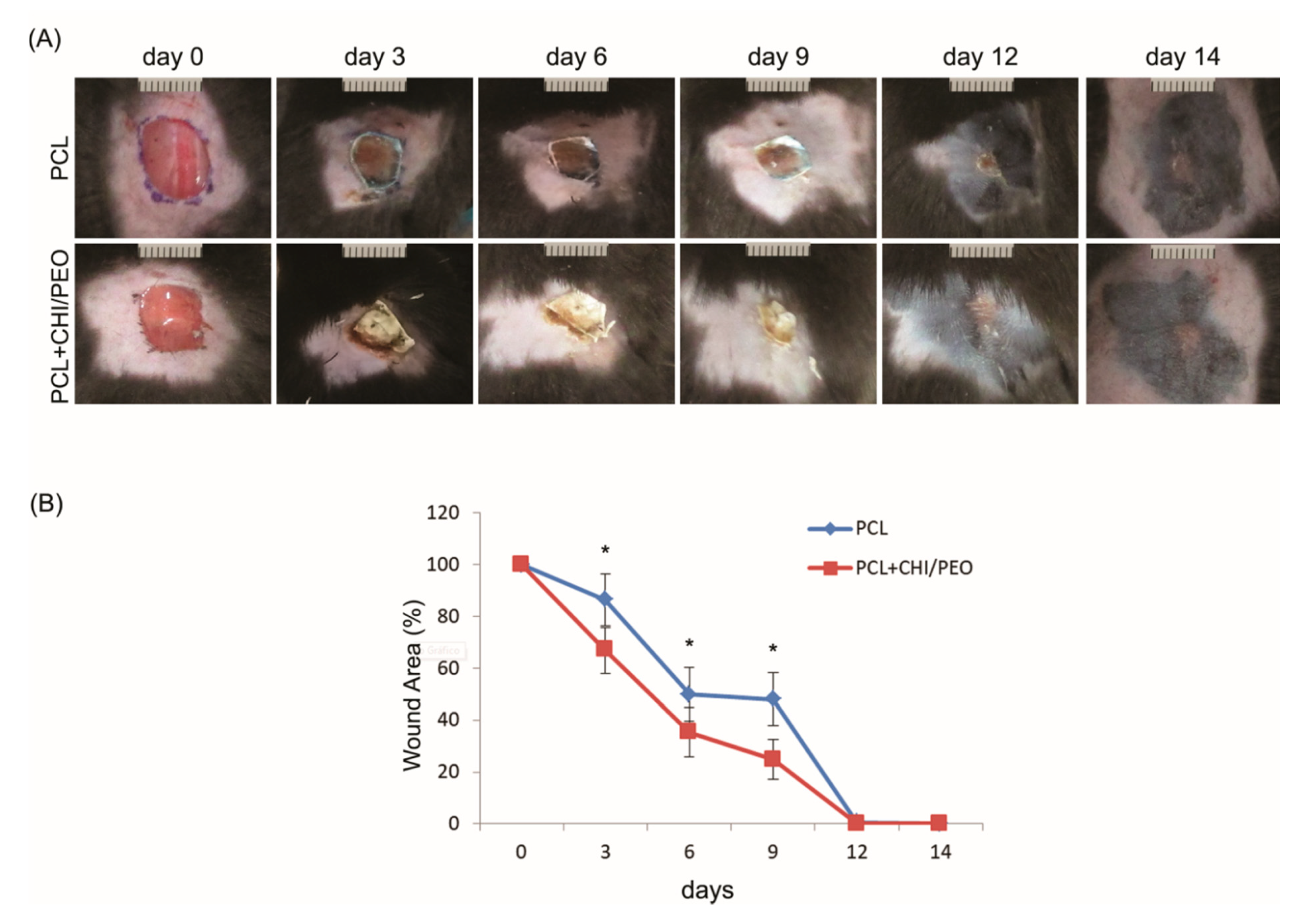 Polymers 12 01580 g002 Polymers 12 01580 g002