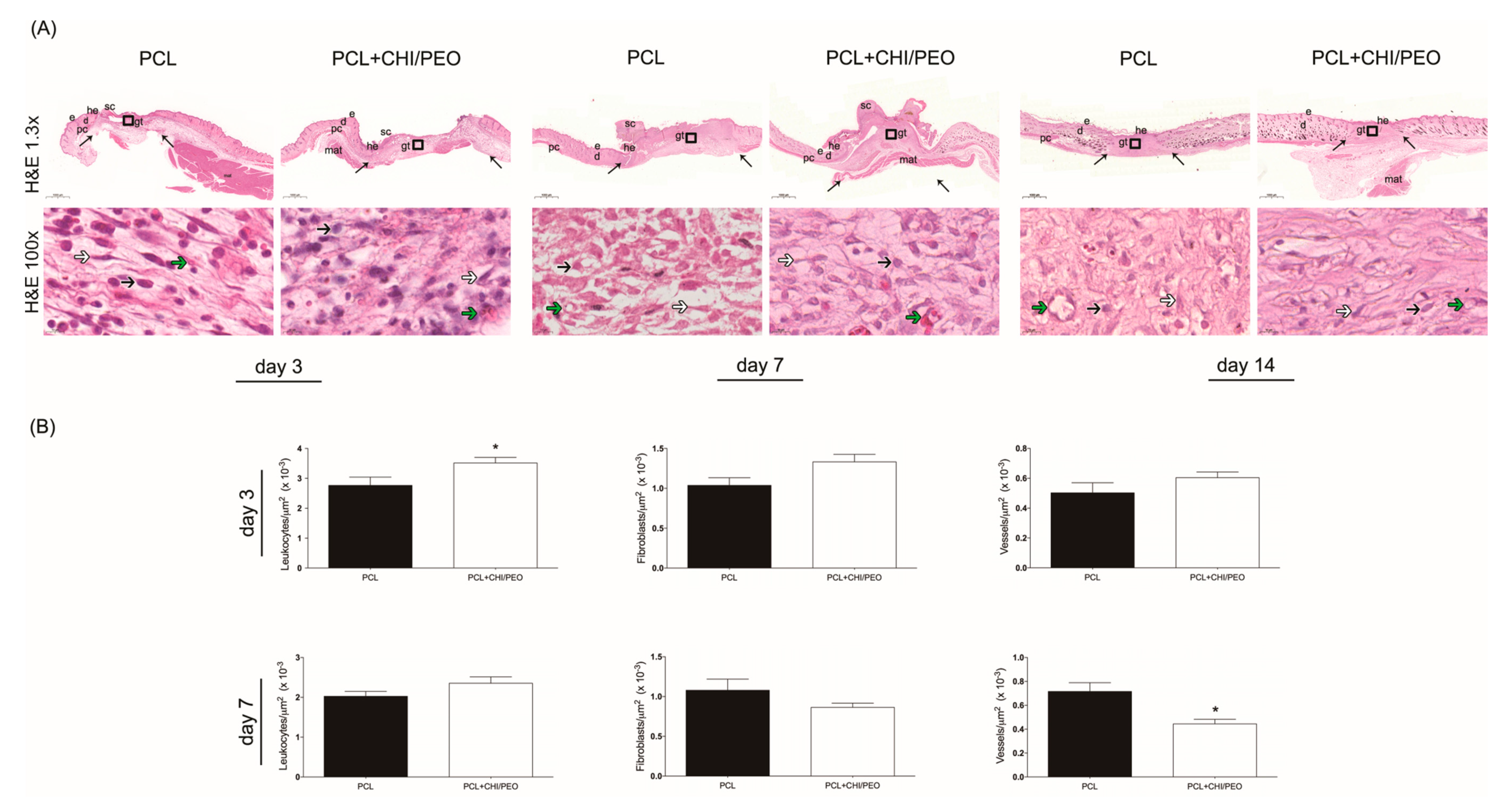 Polymers 12 01580 g003 Polymers 12 01580 g003