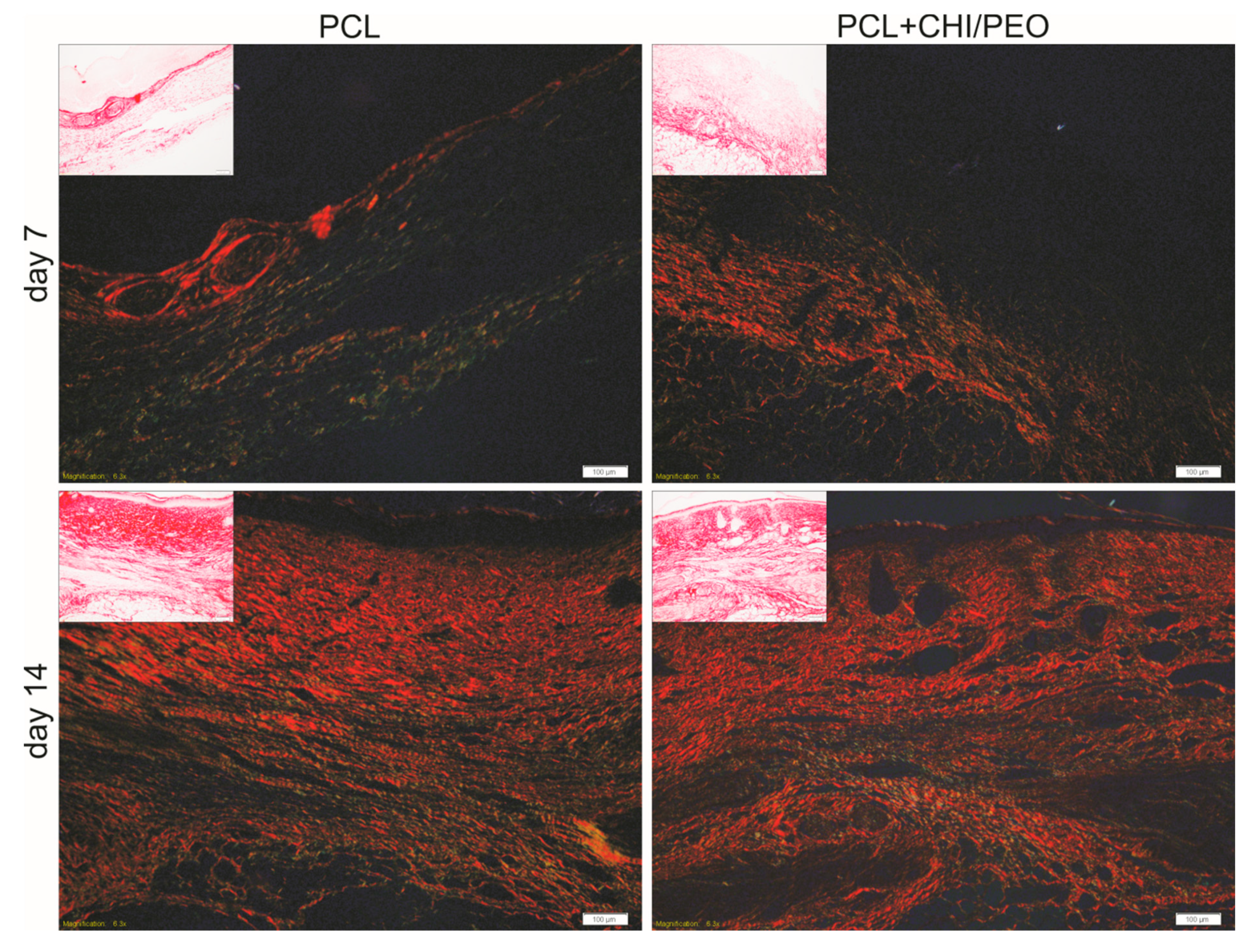Polymers 12 01580 g005 Polymers 12 01580 g005