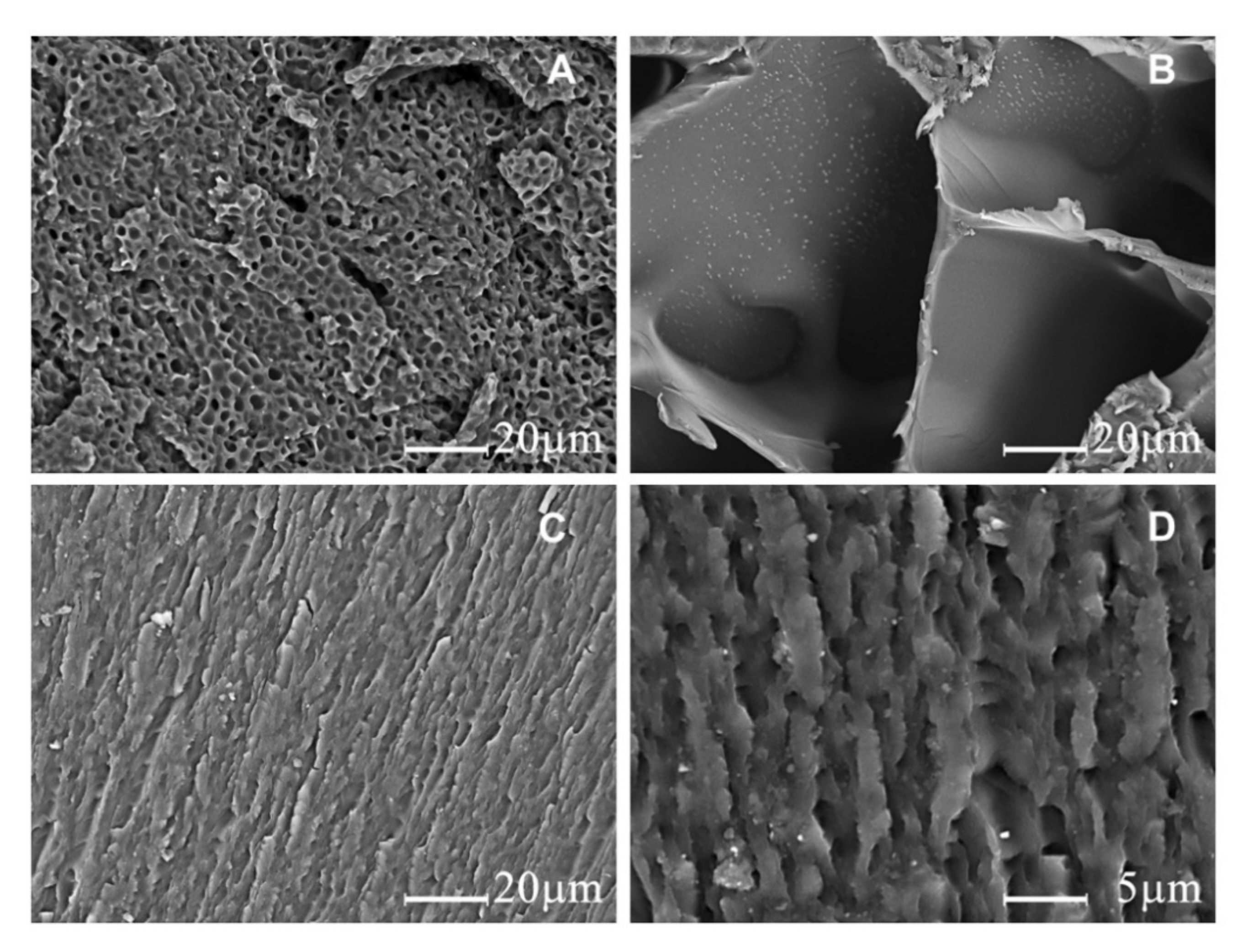 Polymers 12 01584 g005
