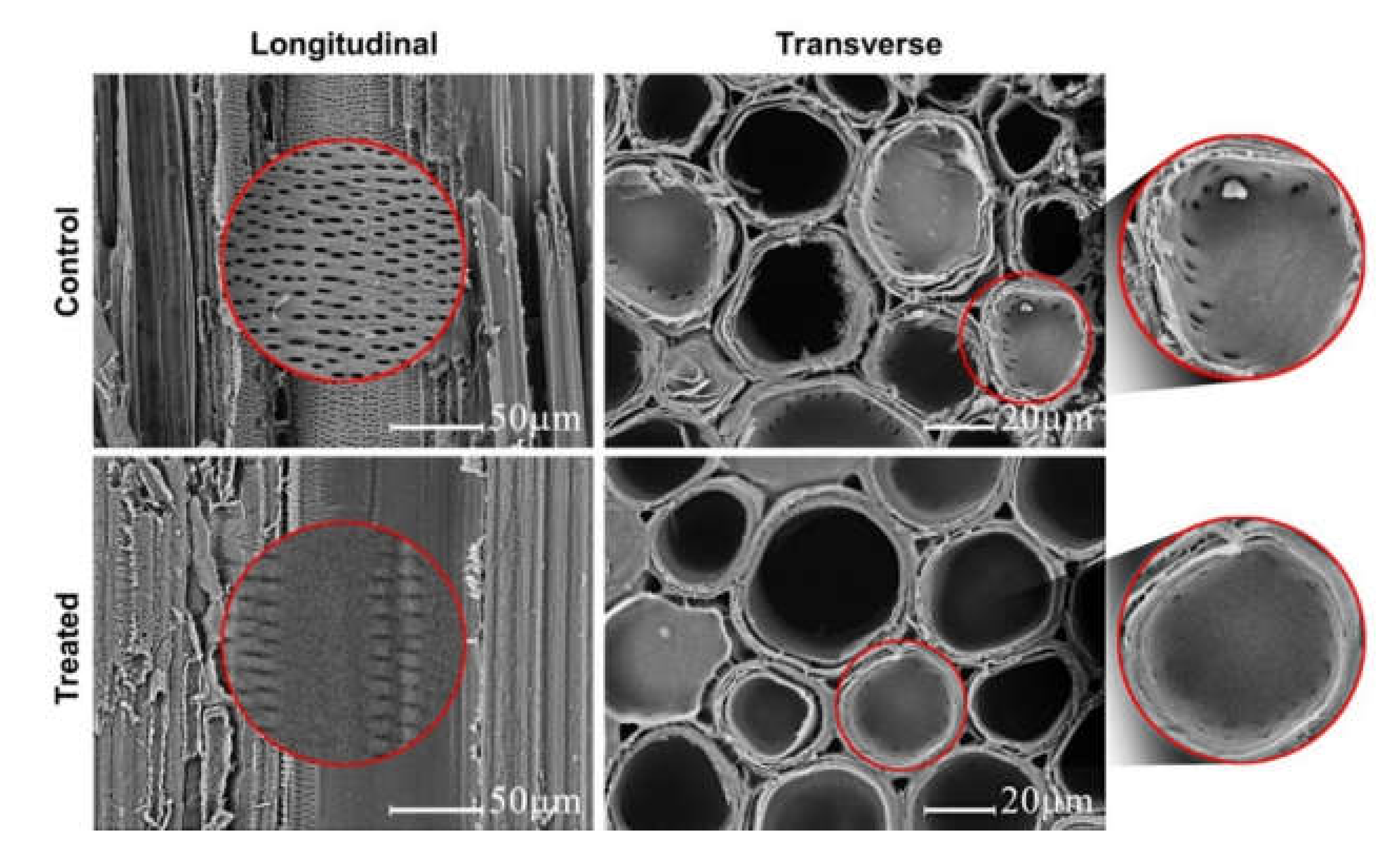 Polymers 12 01584 g006
